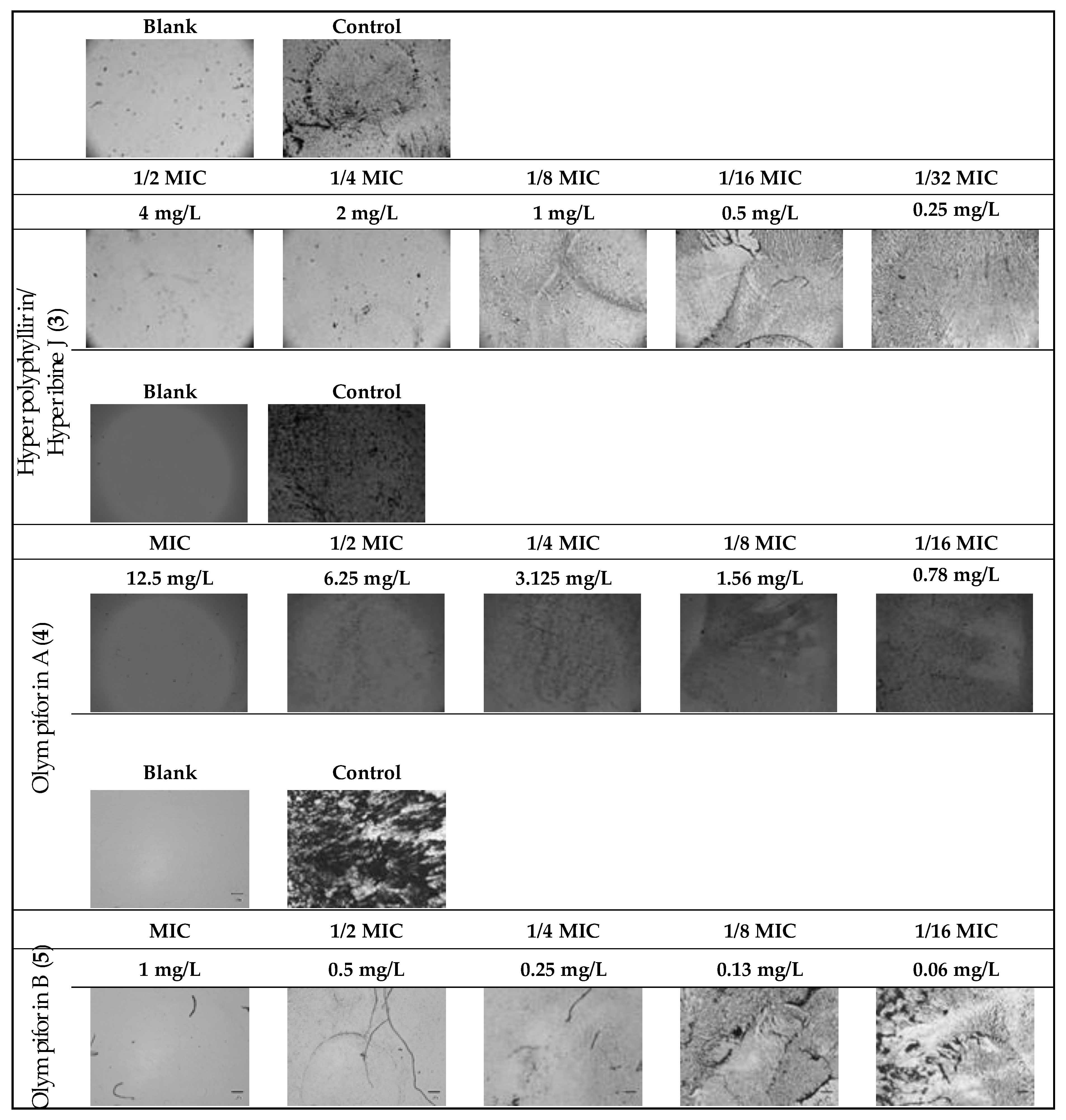 Plants 12 01500 g009 Plants 12 01500 g009
