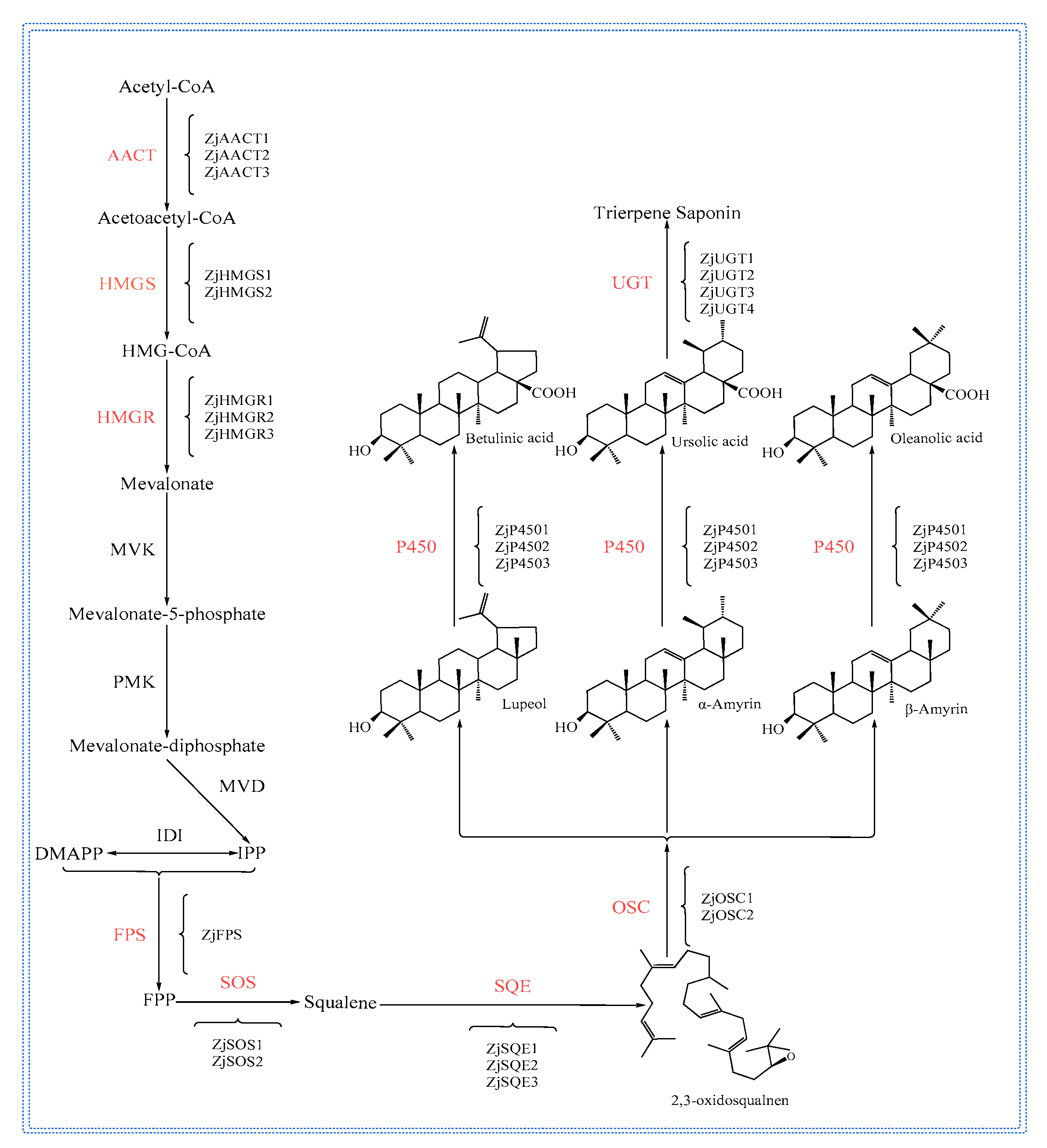 Plants 12 01501 g003 Plants 12 01501 g003