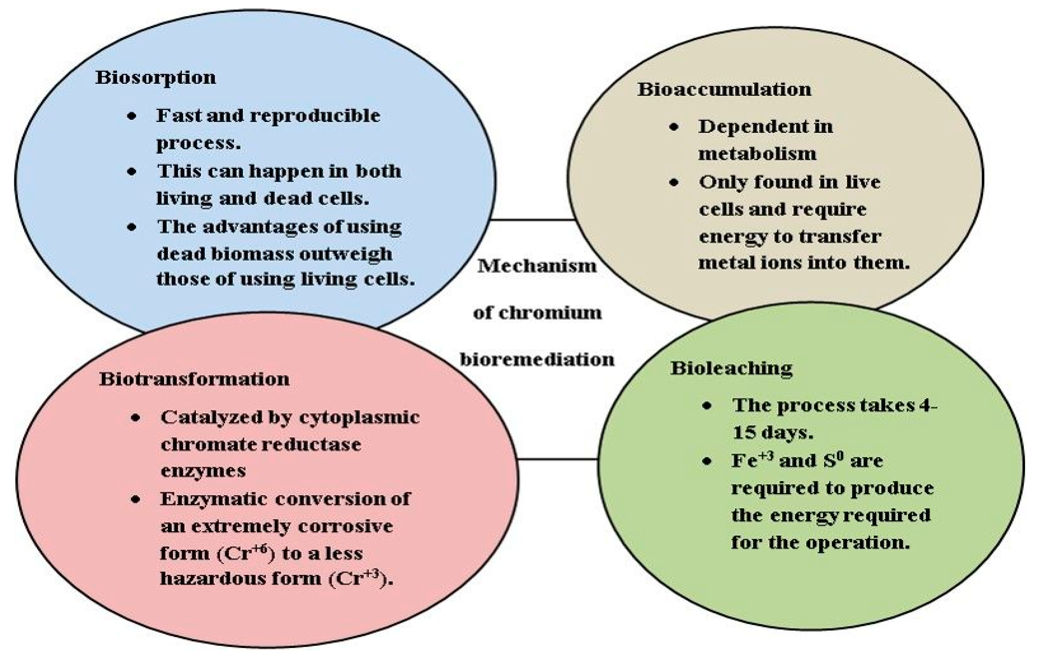 Plants 12 01502 g004 Plants 12 01502 g004