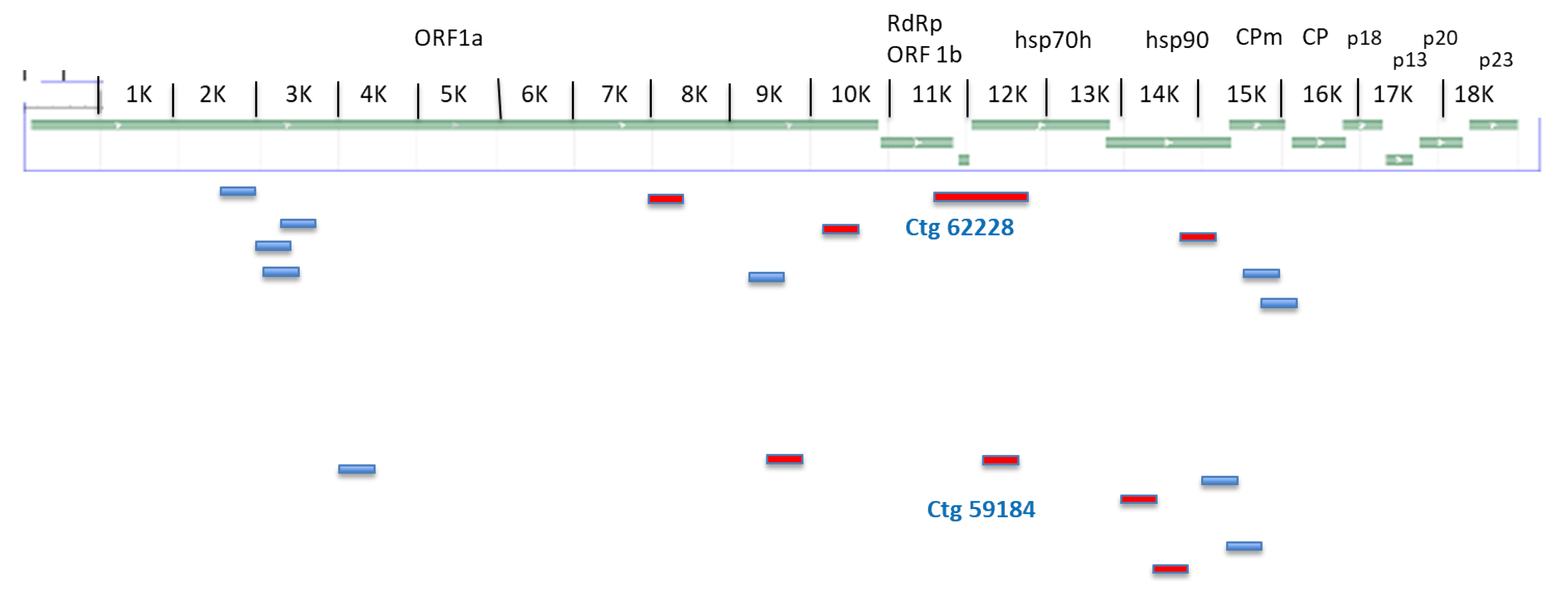 Plants 12 01503 g001