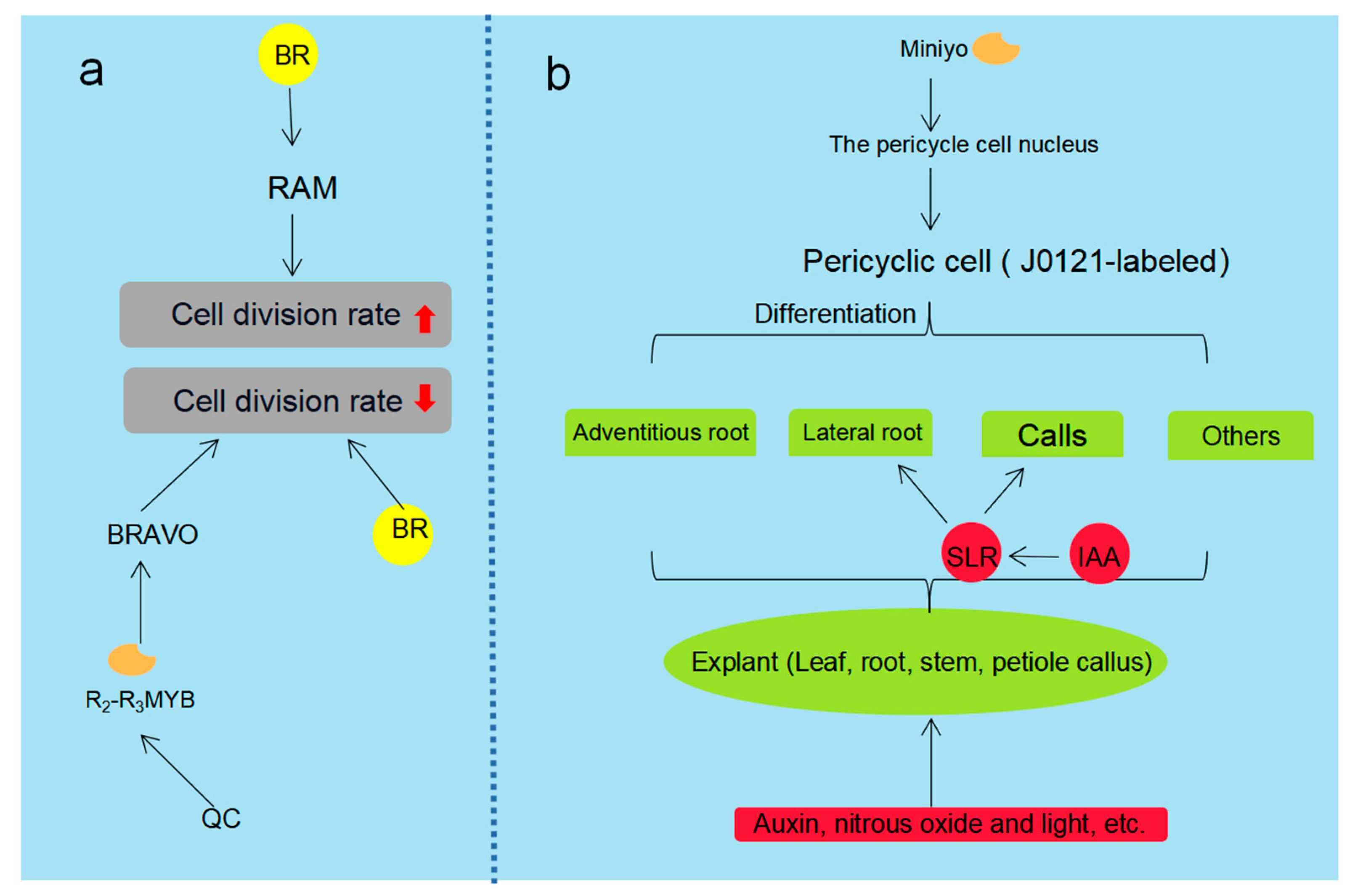 Plants 12 01505 g002