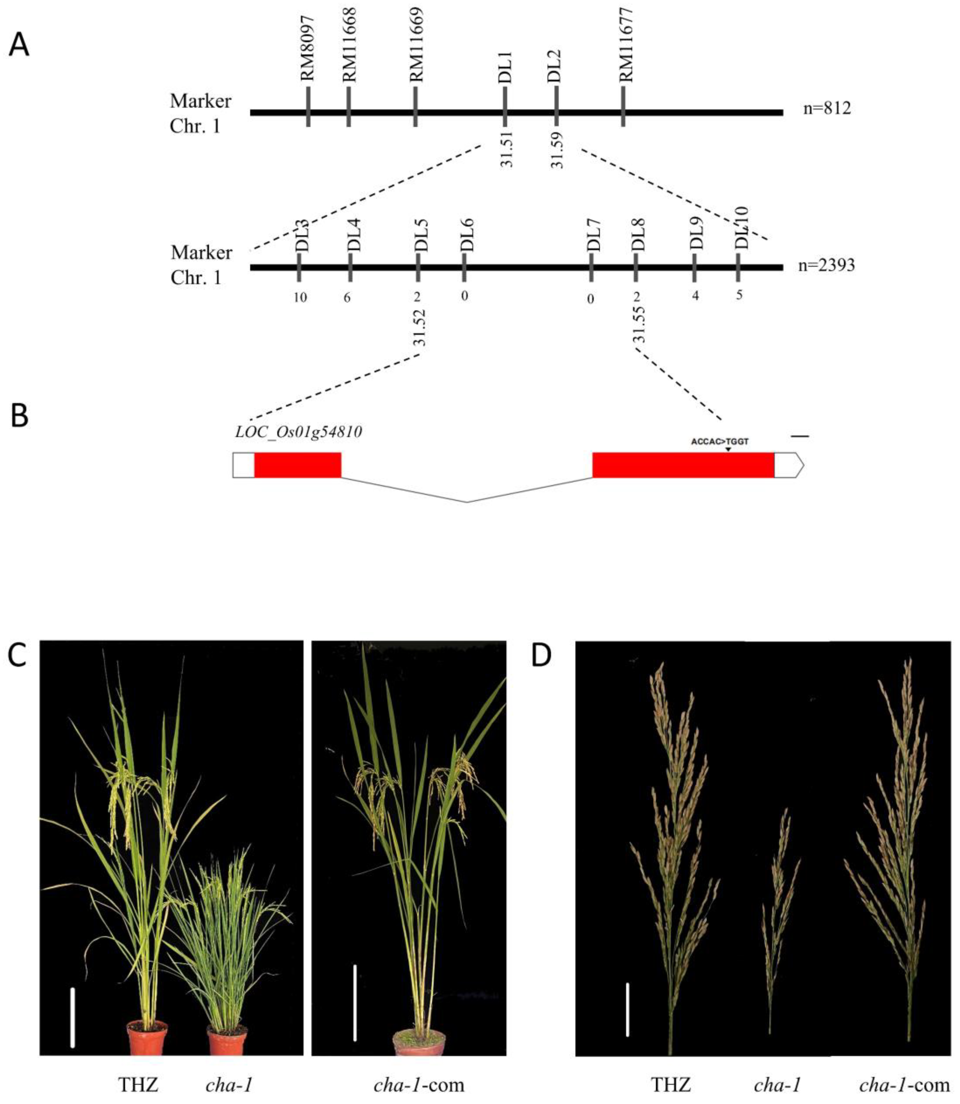 Plants 12 01507 g003