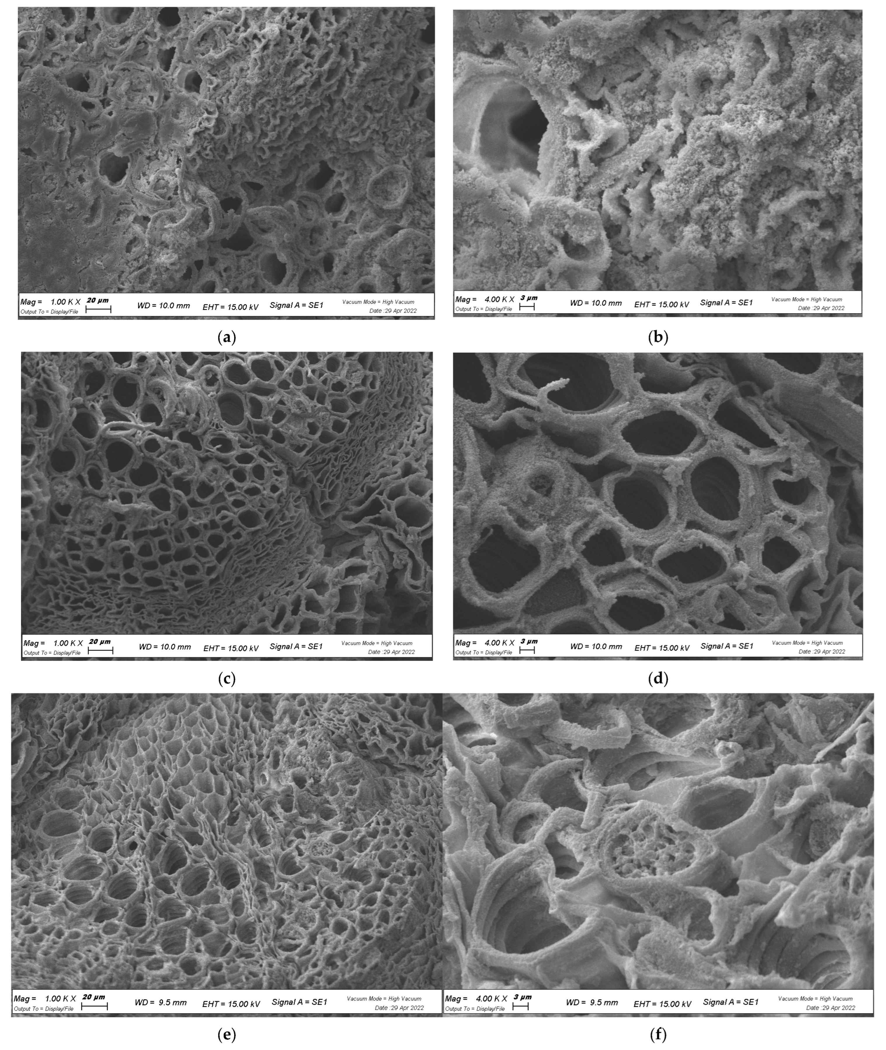 Plants 12 01508 g006a