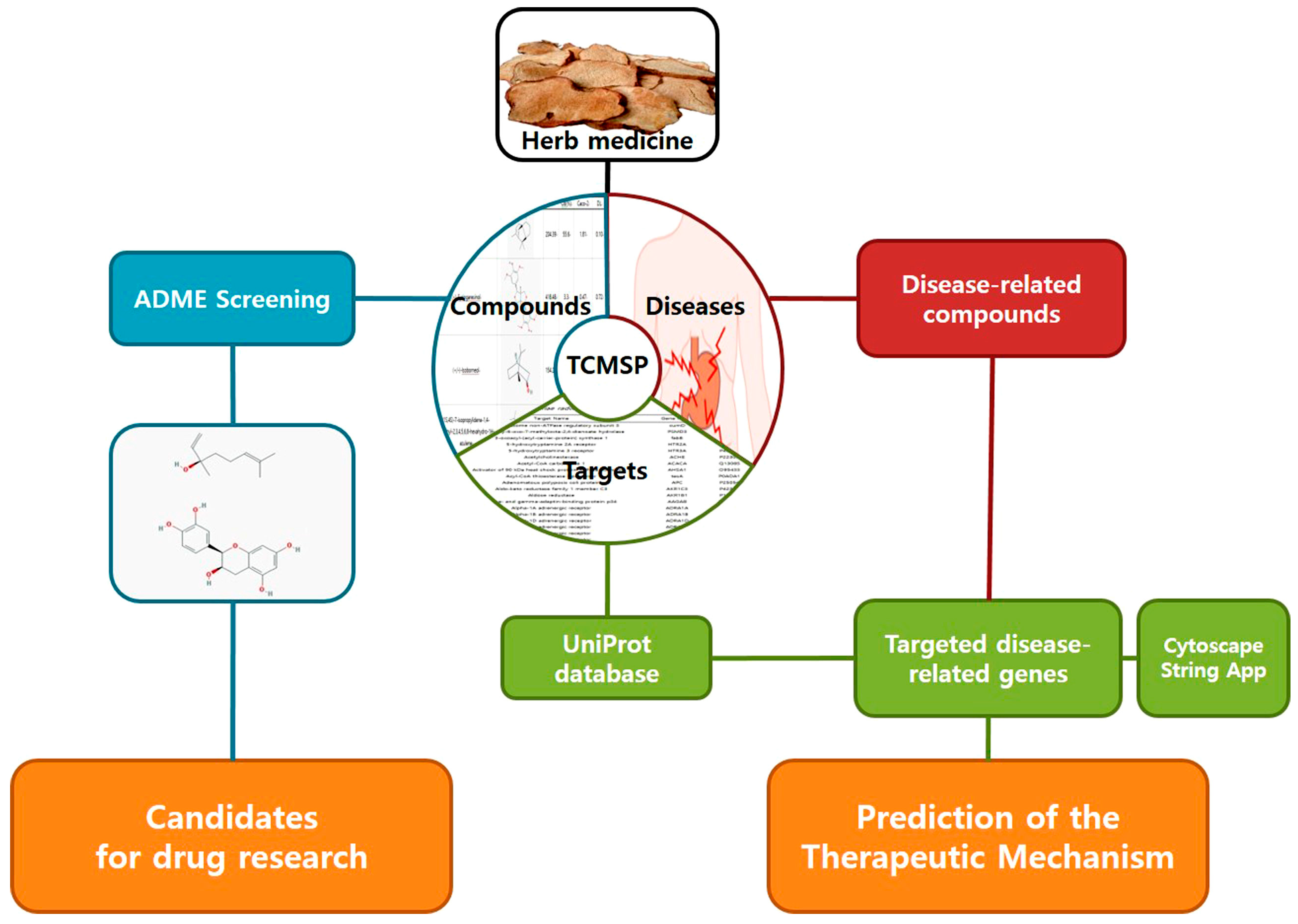 Plants 12 01509 g001