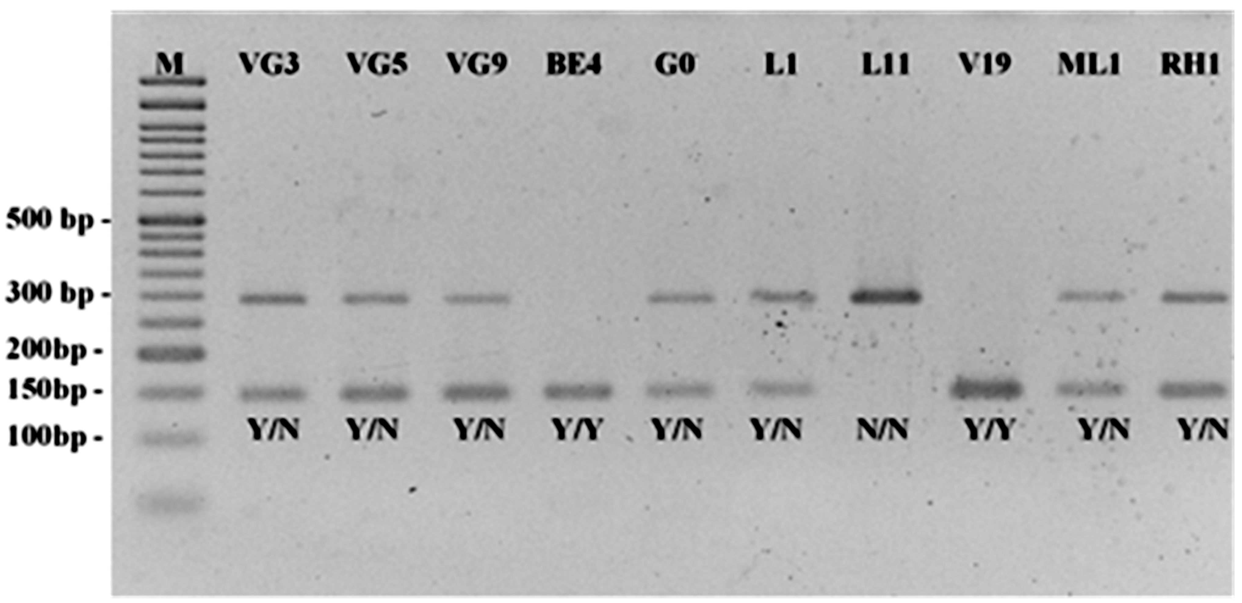 Plants 12 01517 g003