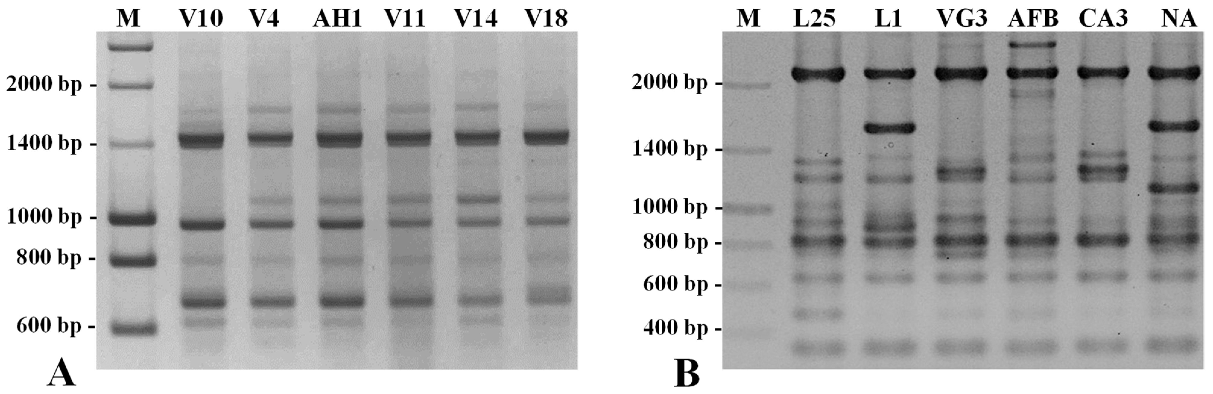 Plants 12 01517 g005