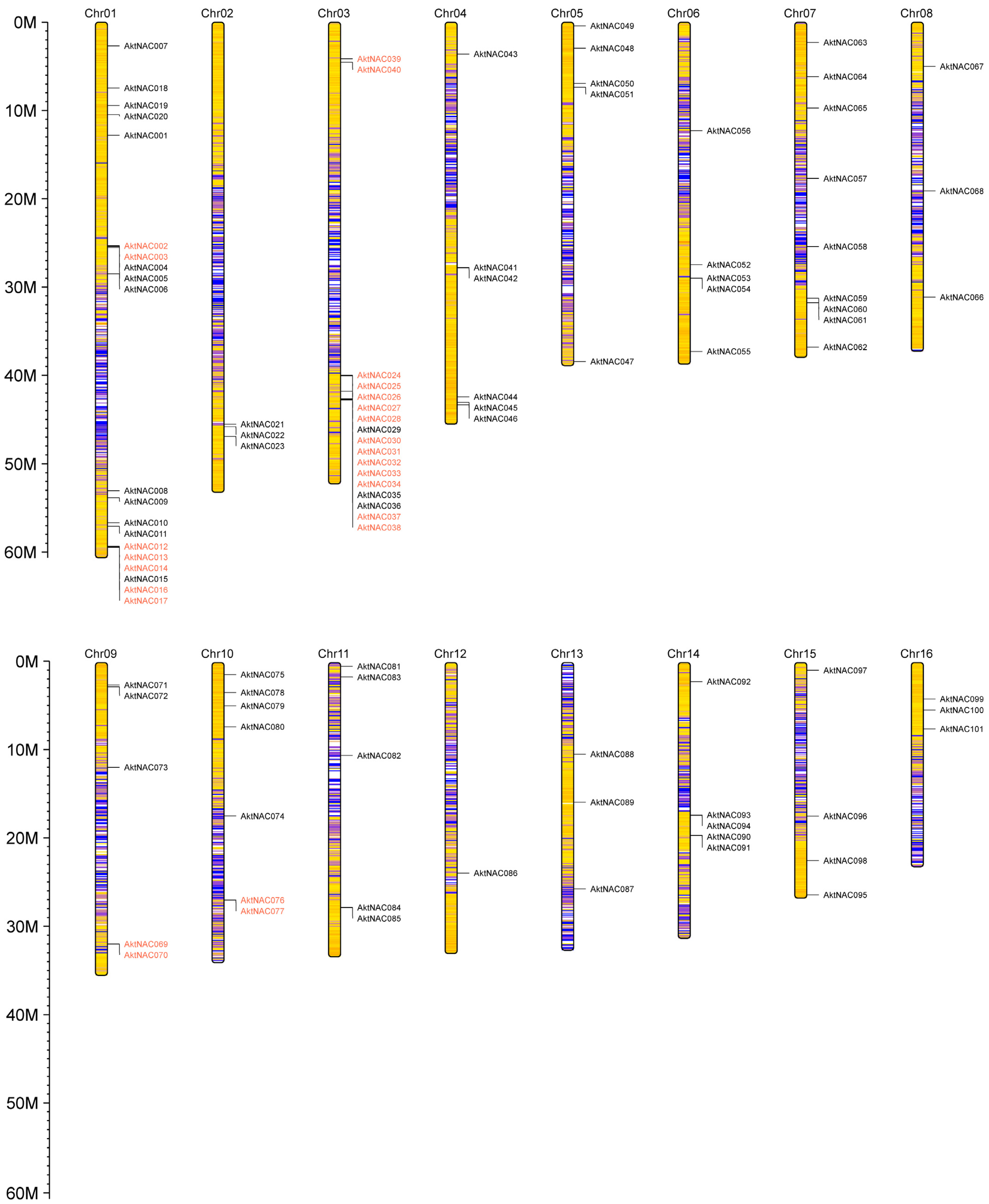 Plants 12 01518 g003 Plants 12 01518 g003