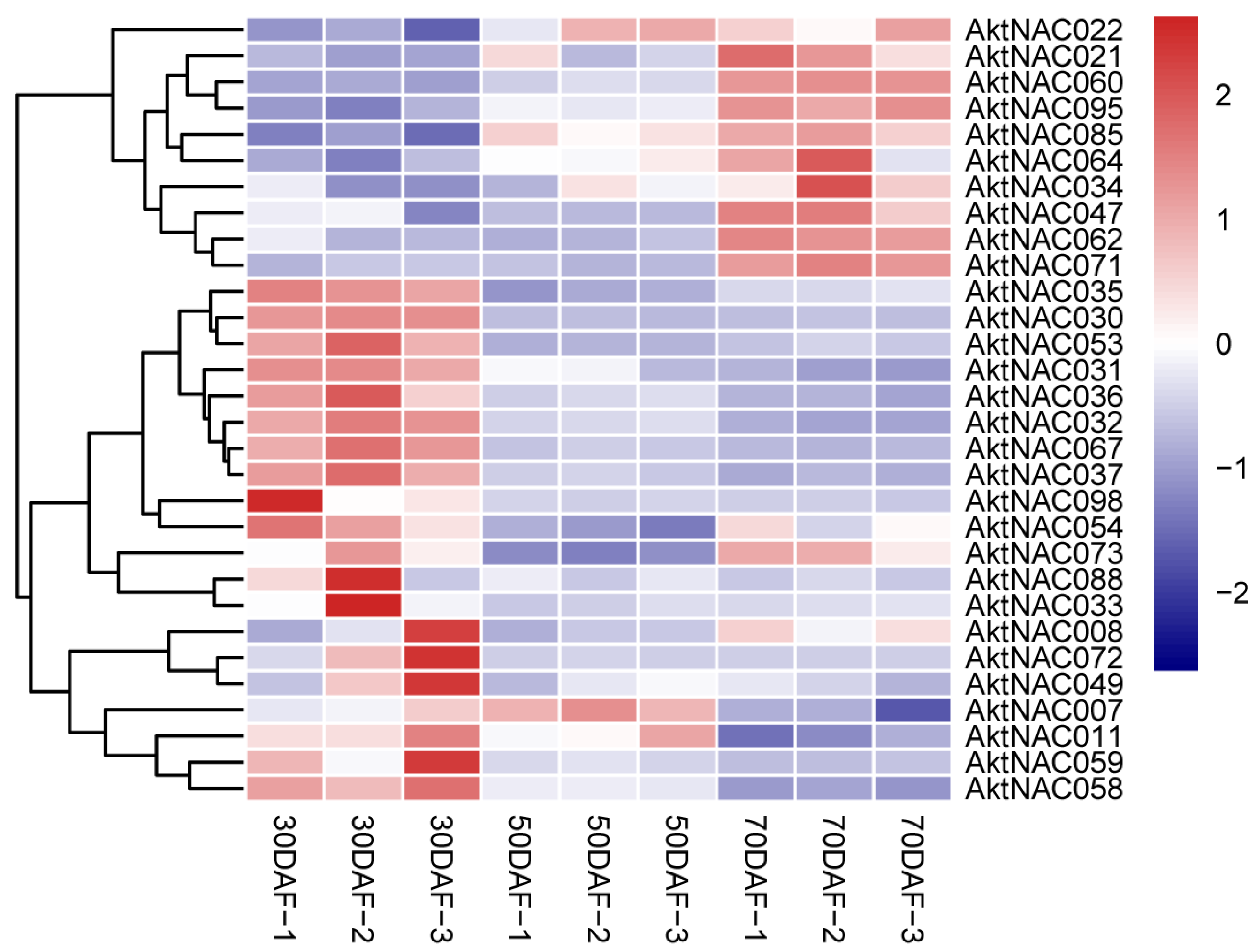 Plants | Free Full-Text | Identification of the NAC Transcription ...