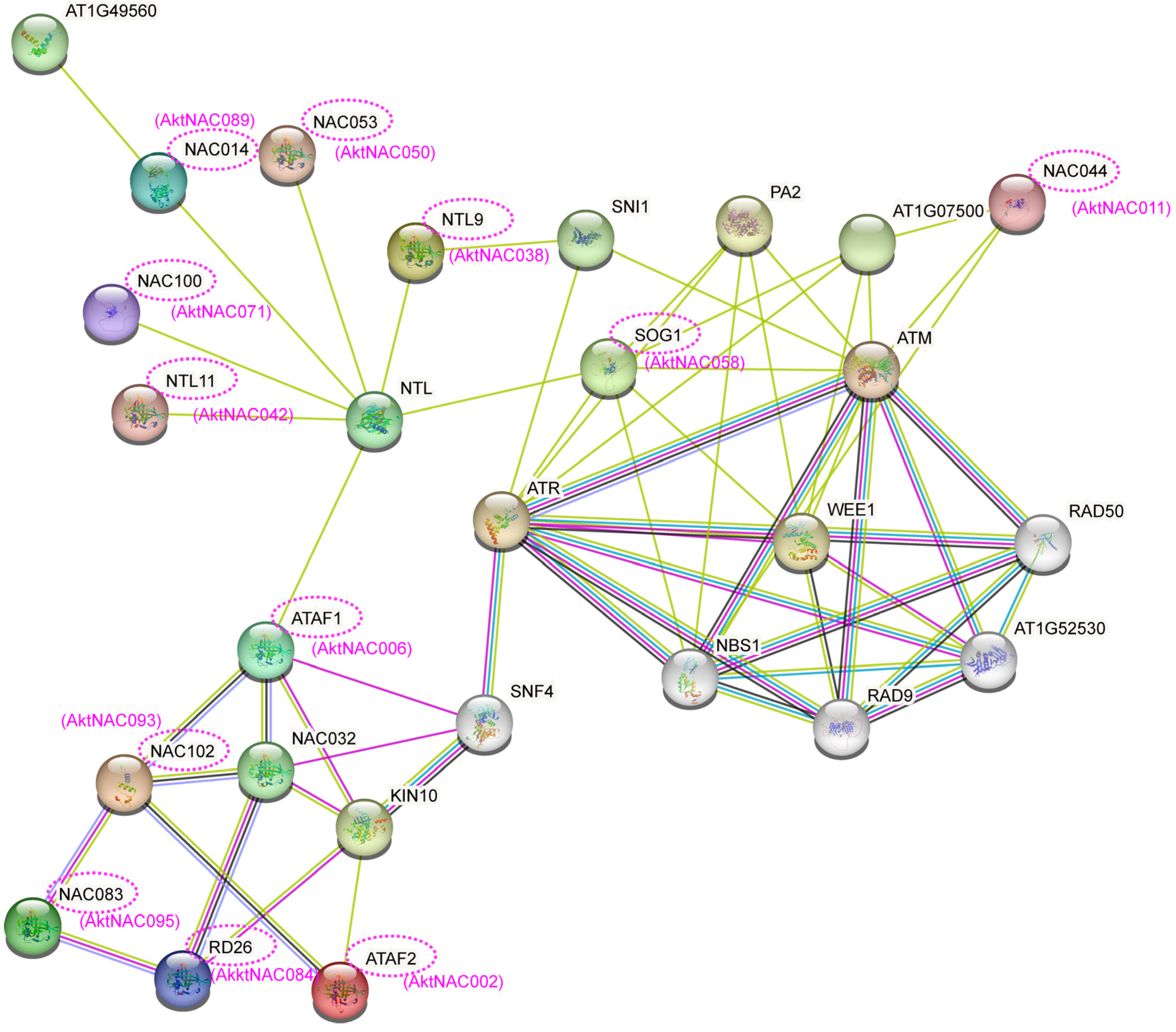 Plants 12 01518 g010 Plants 12 01518 g010