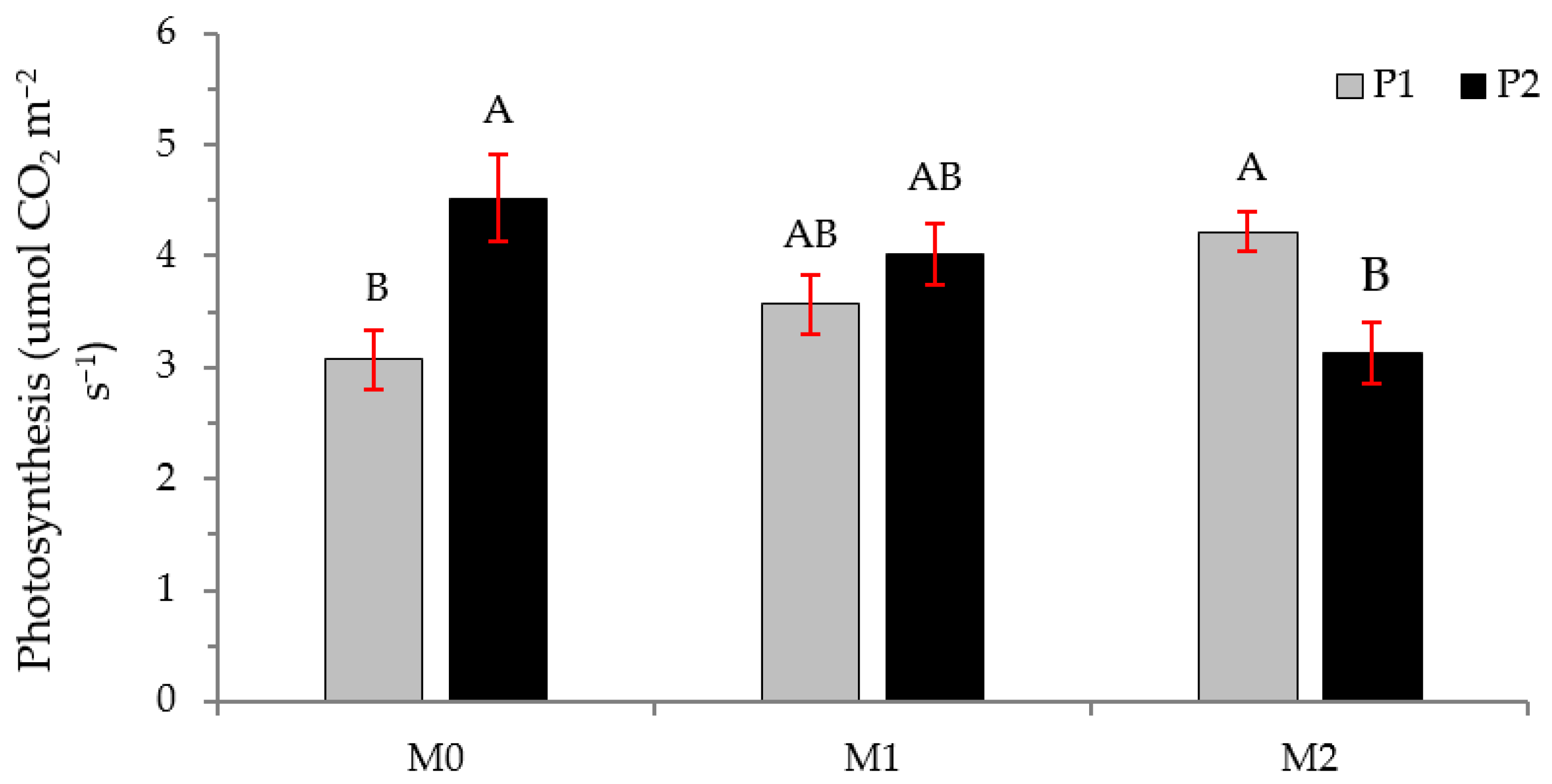 Plants 12 01521 g006