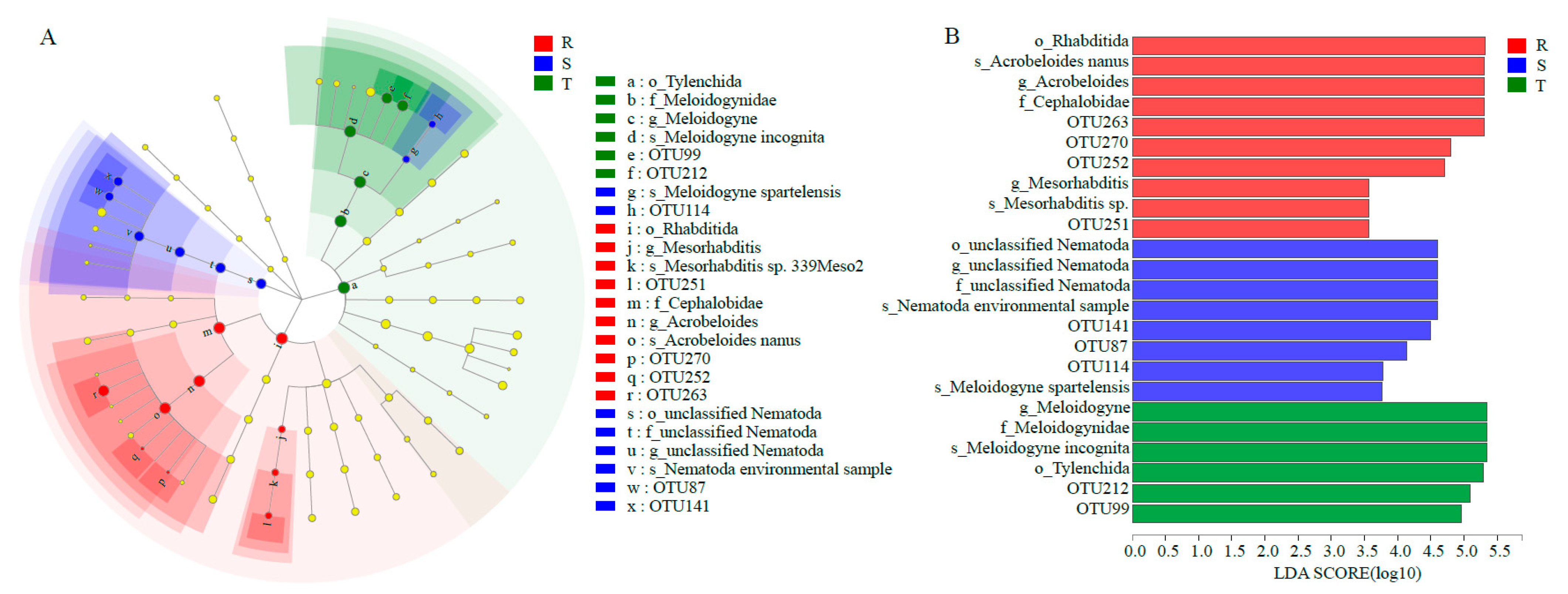 Plants 12 01528 g003 Plants 12 01528 g003