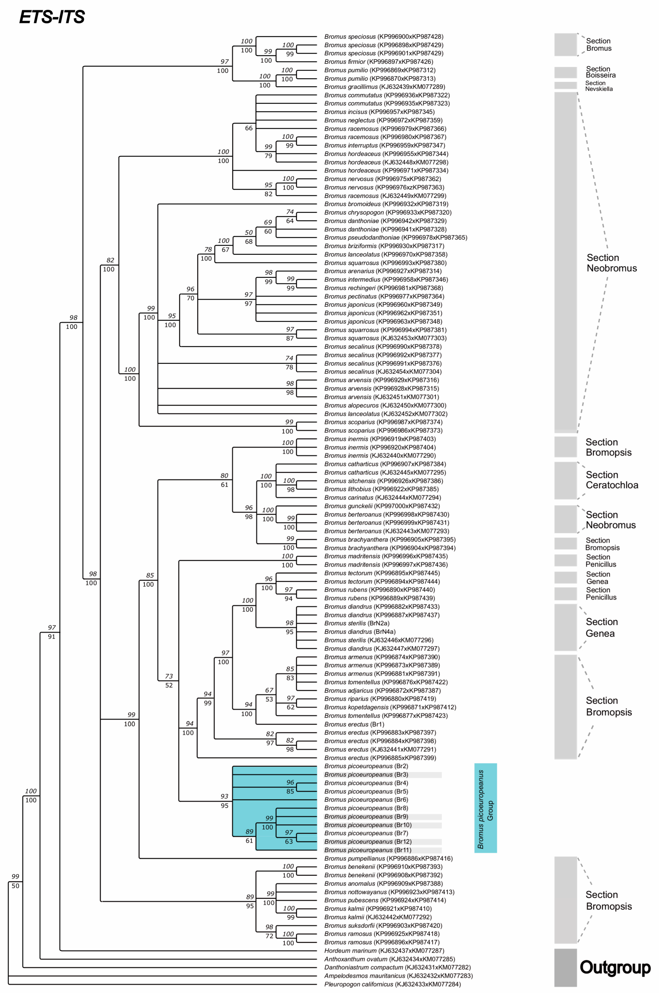 Plants 12 01531 g004 Plants 12 01531 g004