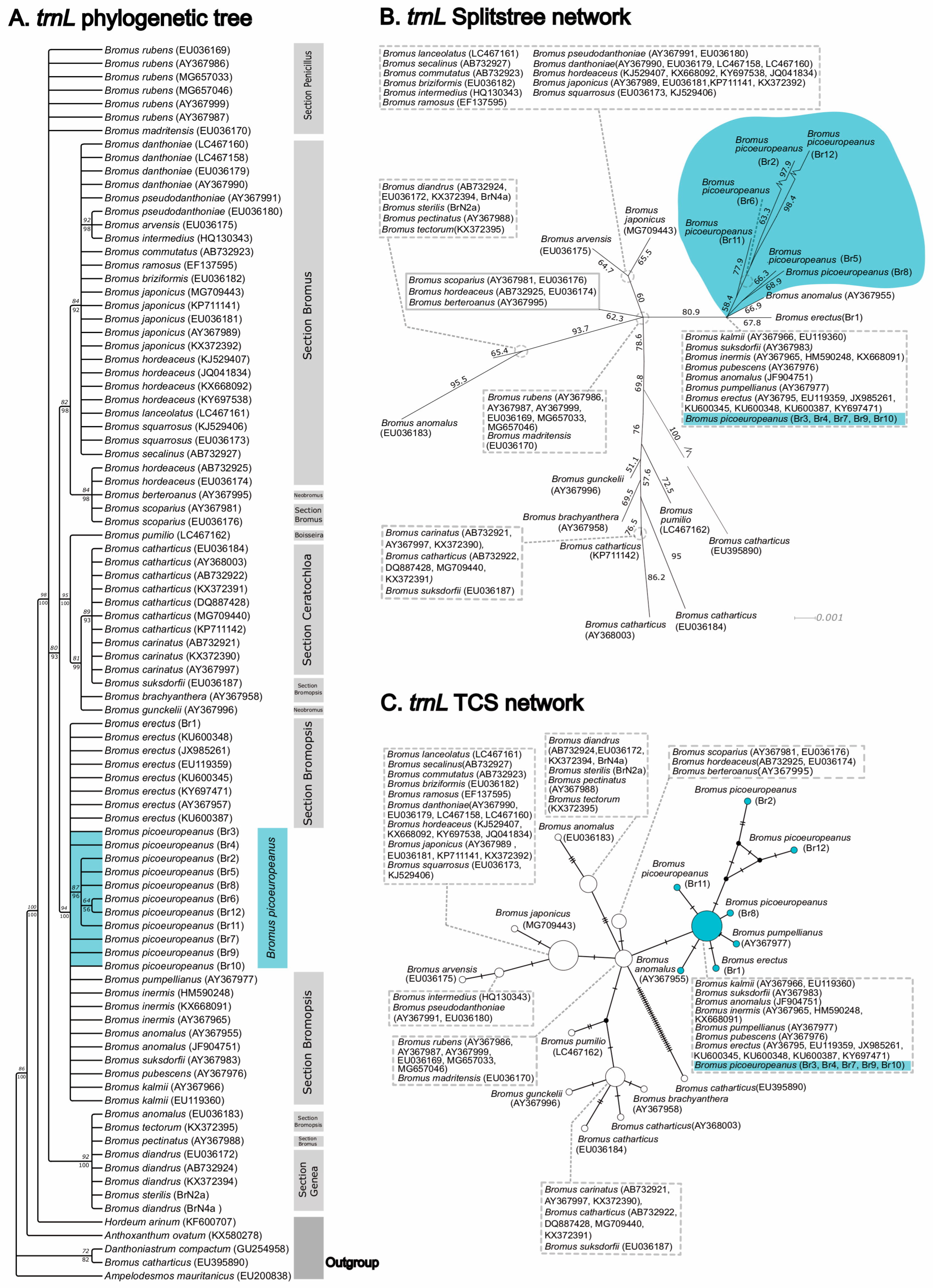 Plants 12 01531 g005 Plants 12 01531 g005