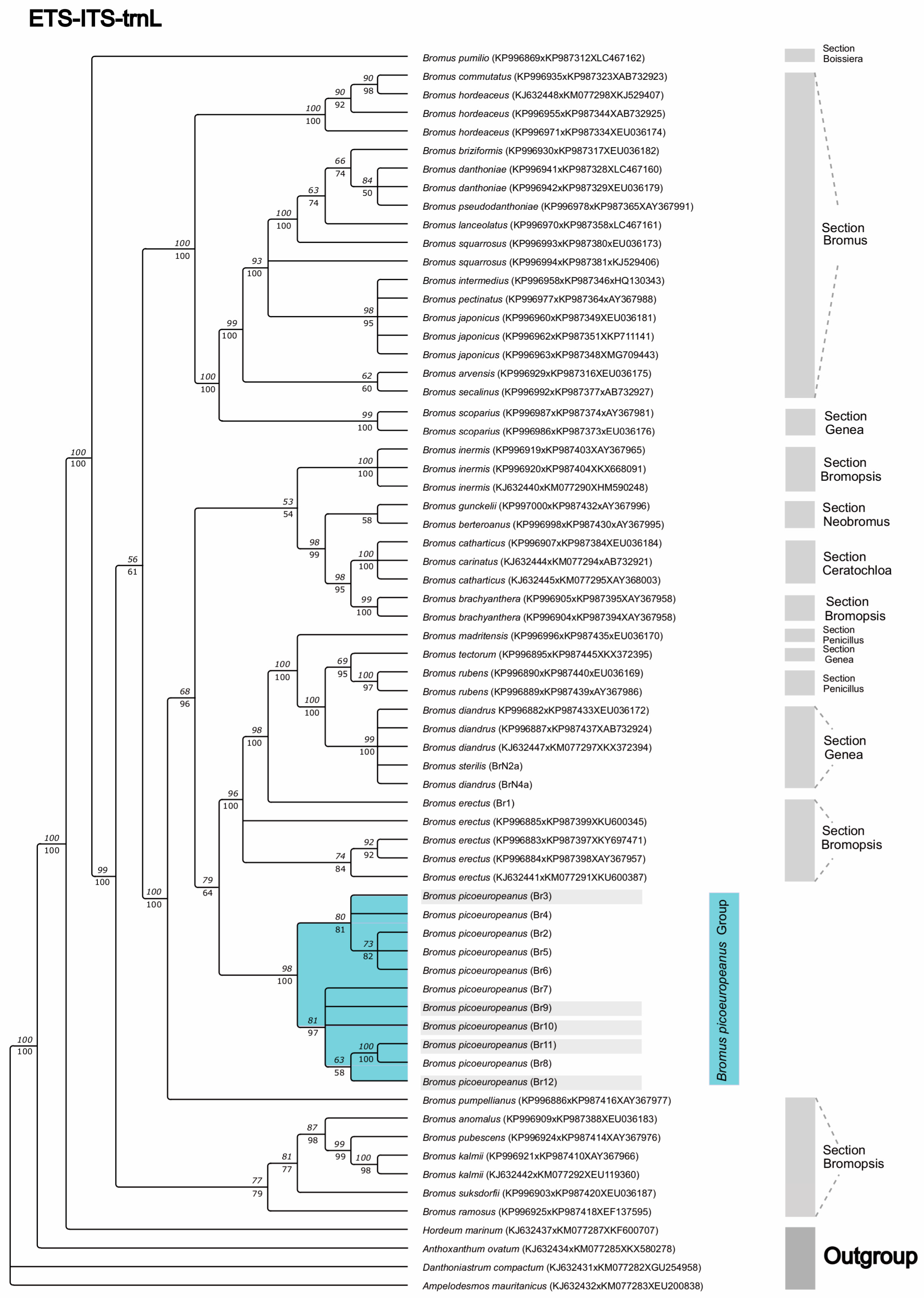 Plants 12 01531 g006 Plants 12 01531 g006