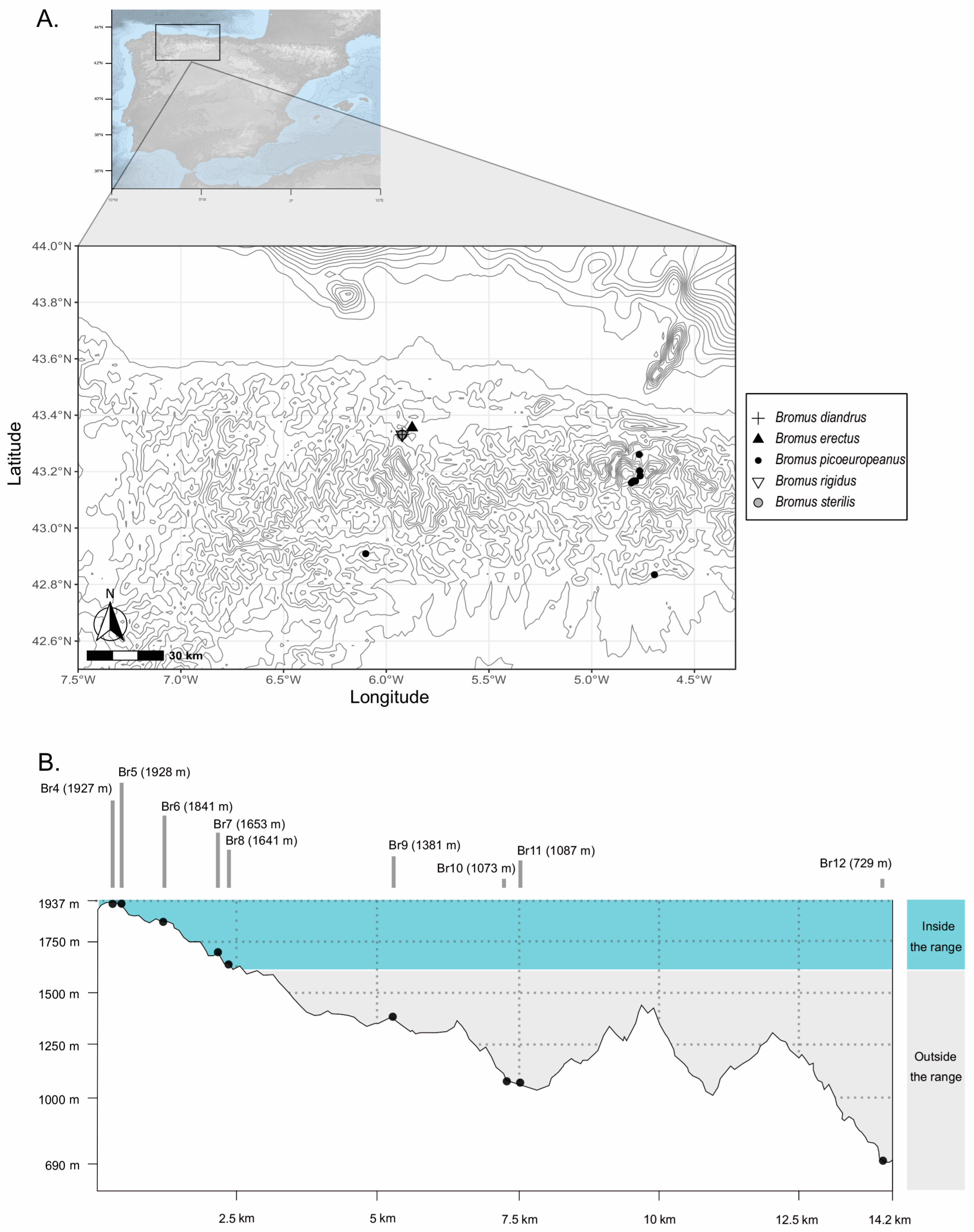 Plants 12 01531 g007 Plants 12 01531 g007