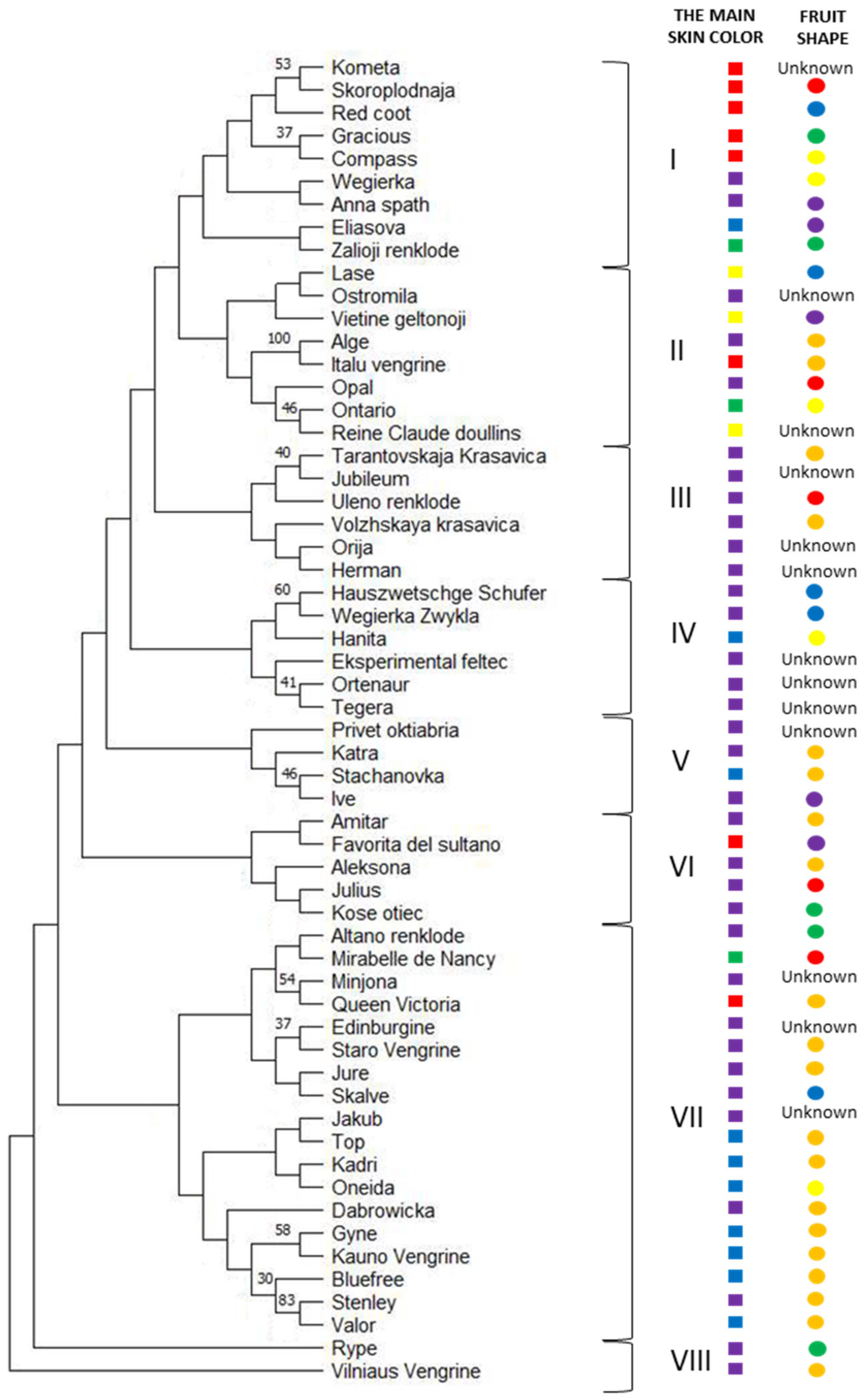 Plants 12 01538 g001