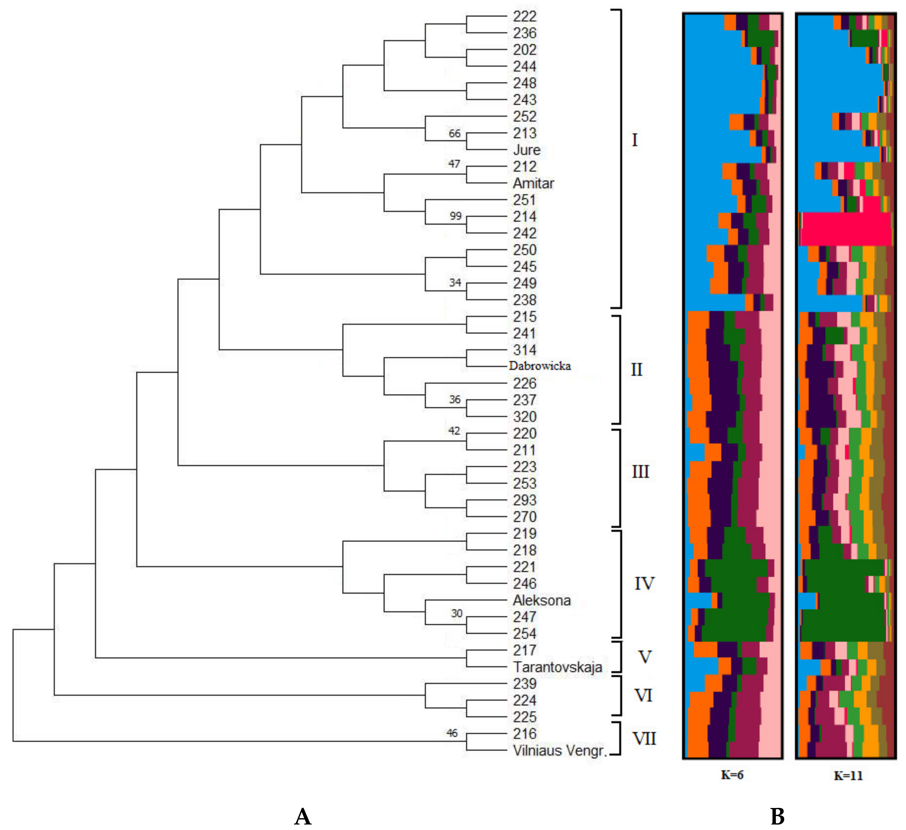 Plants 12 01538 g002