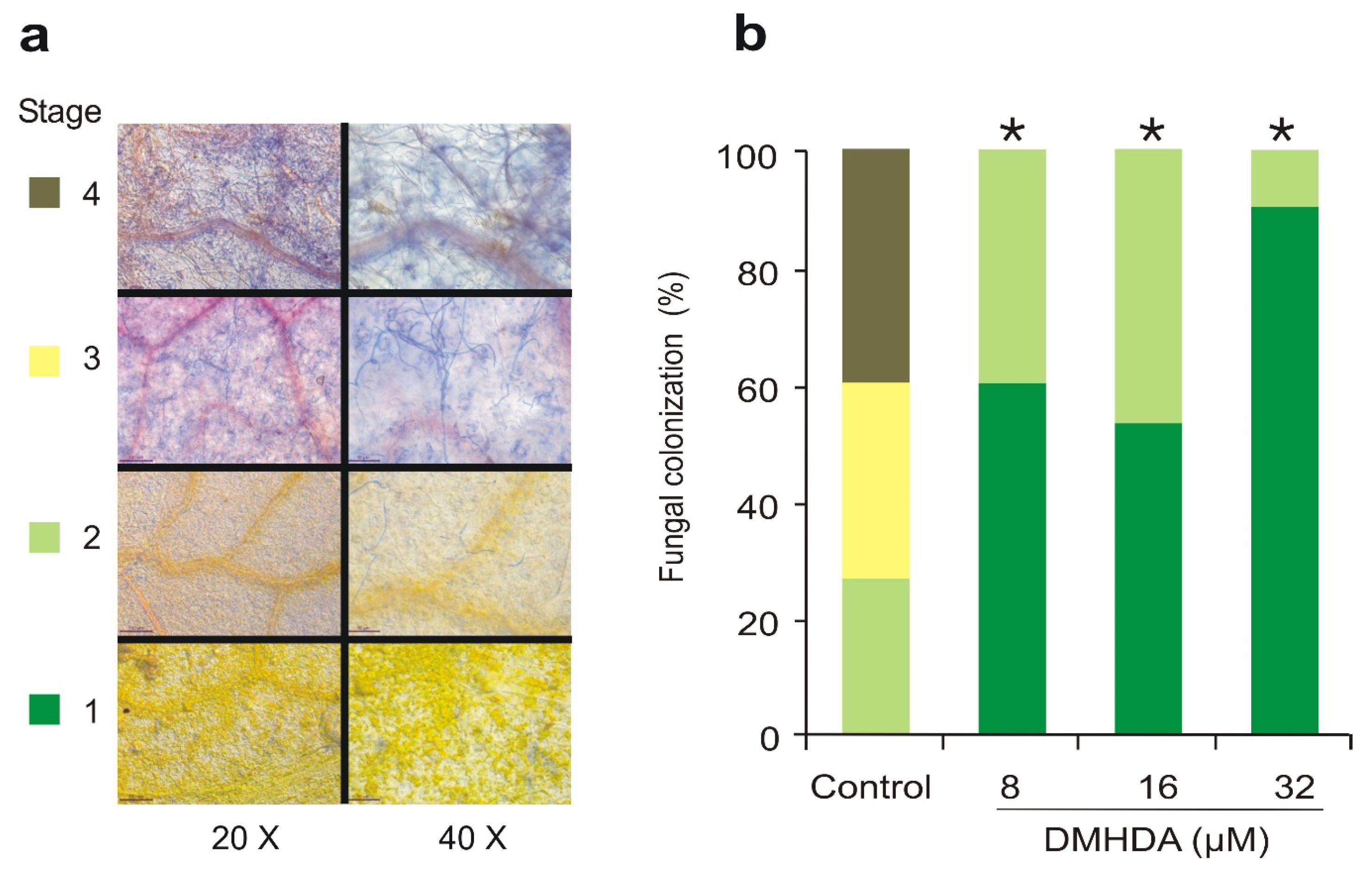 Plants 12 01540 g002 Plants 12 01540 g002