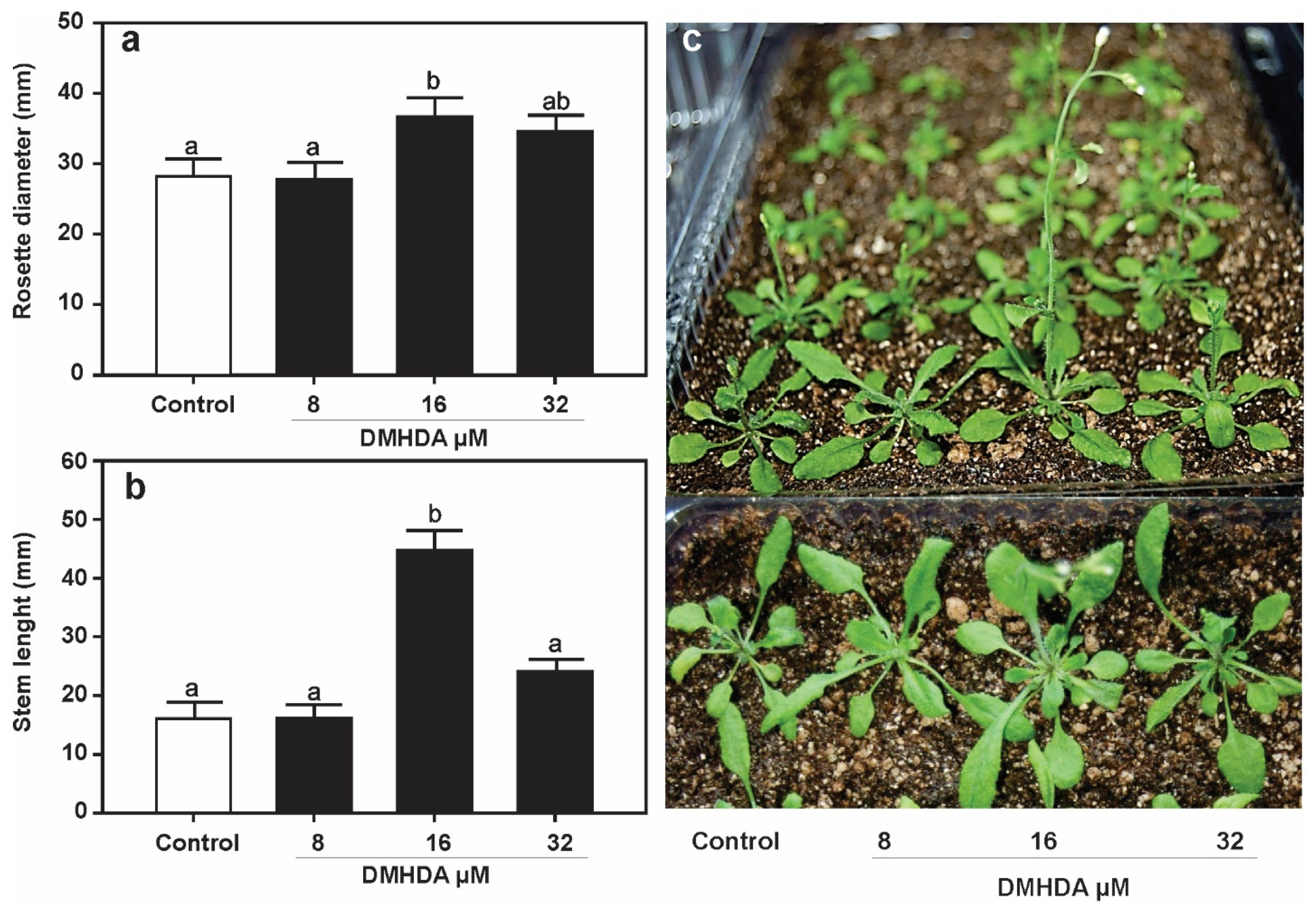 Plants 12 01540 g006 Plants 12 01540 g006
