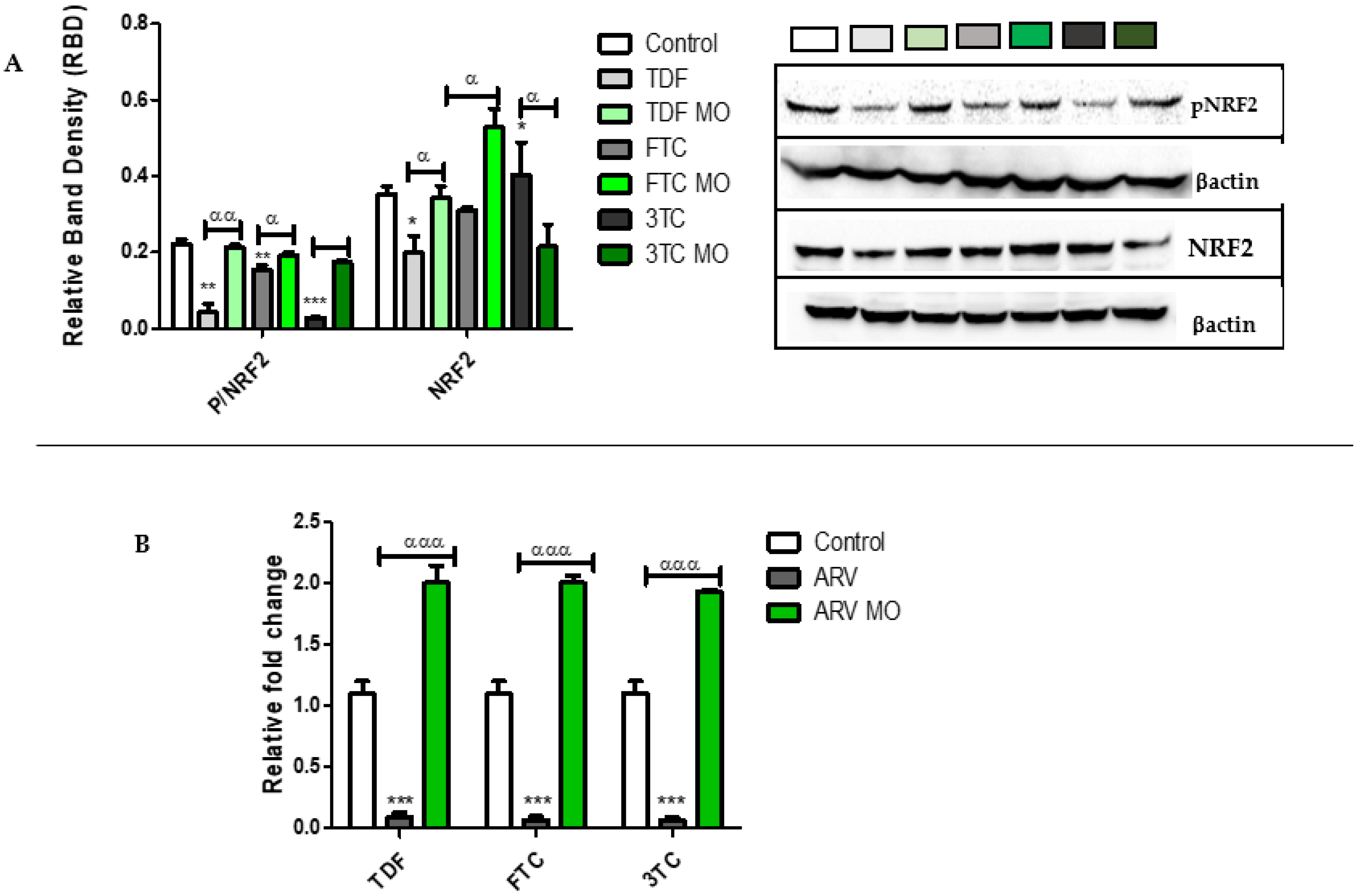 Plants 12 01541 g005