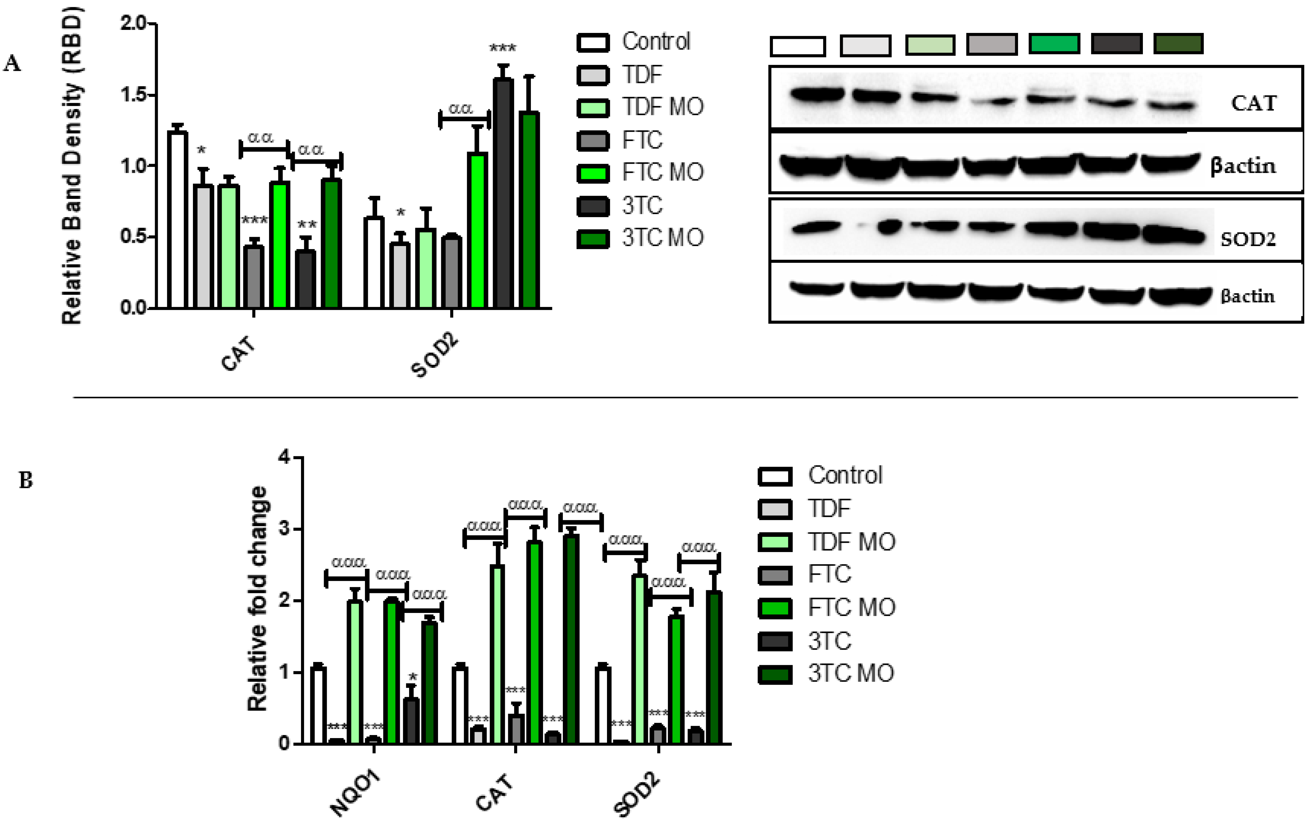 Plants 12 01541 g006