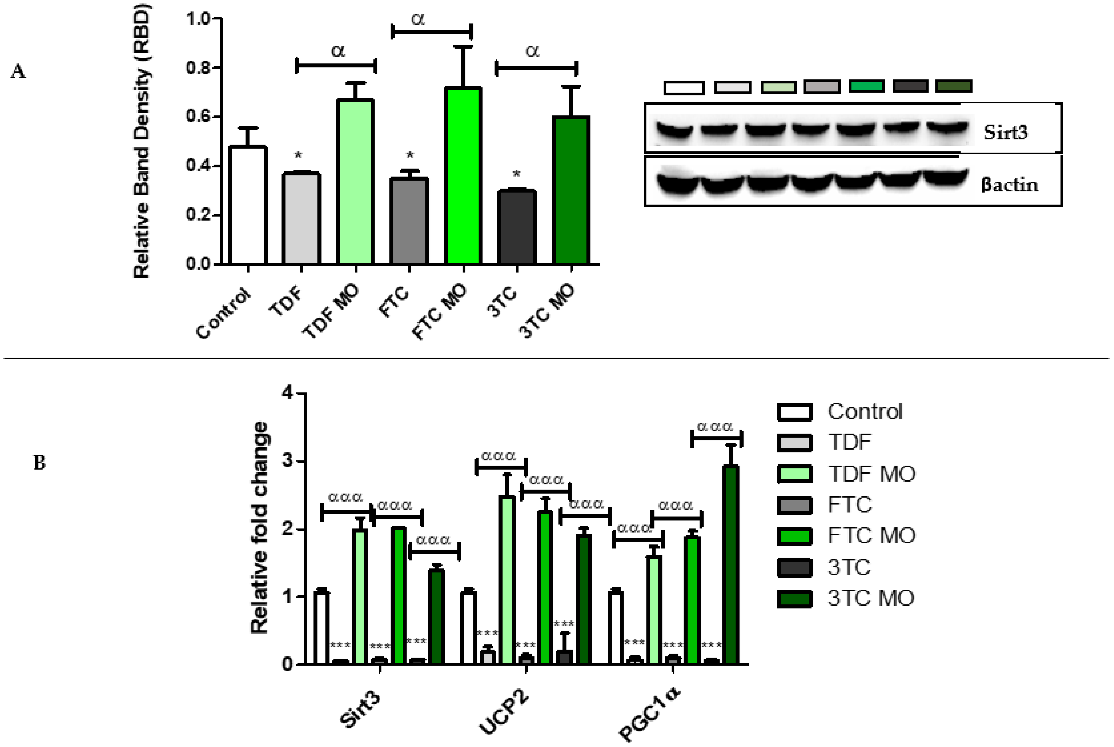 Plants 12 01541 g007
