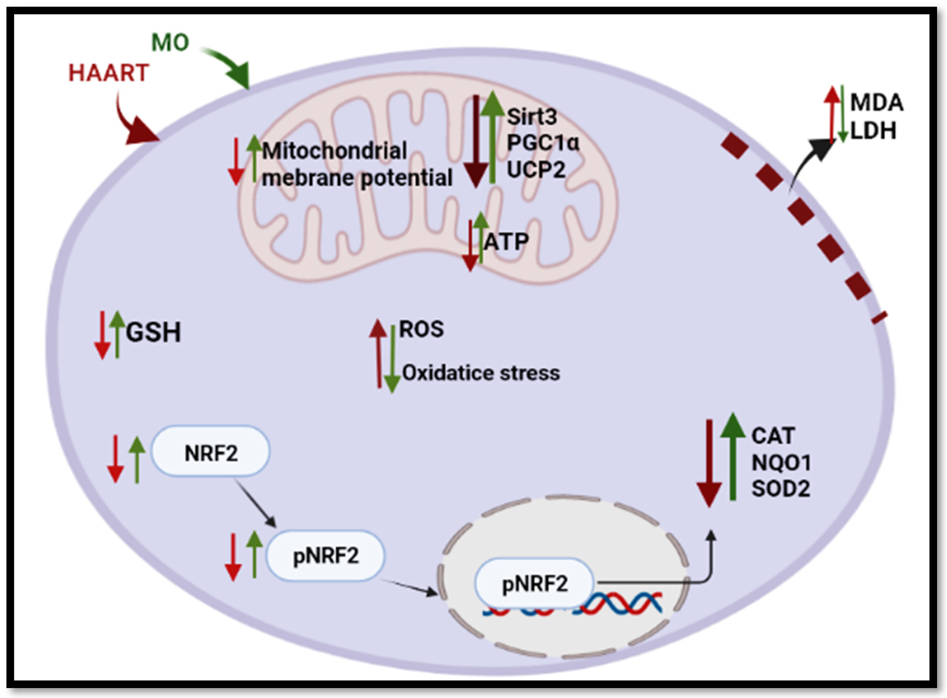 Plants 12 01541 g008