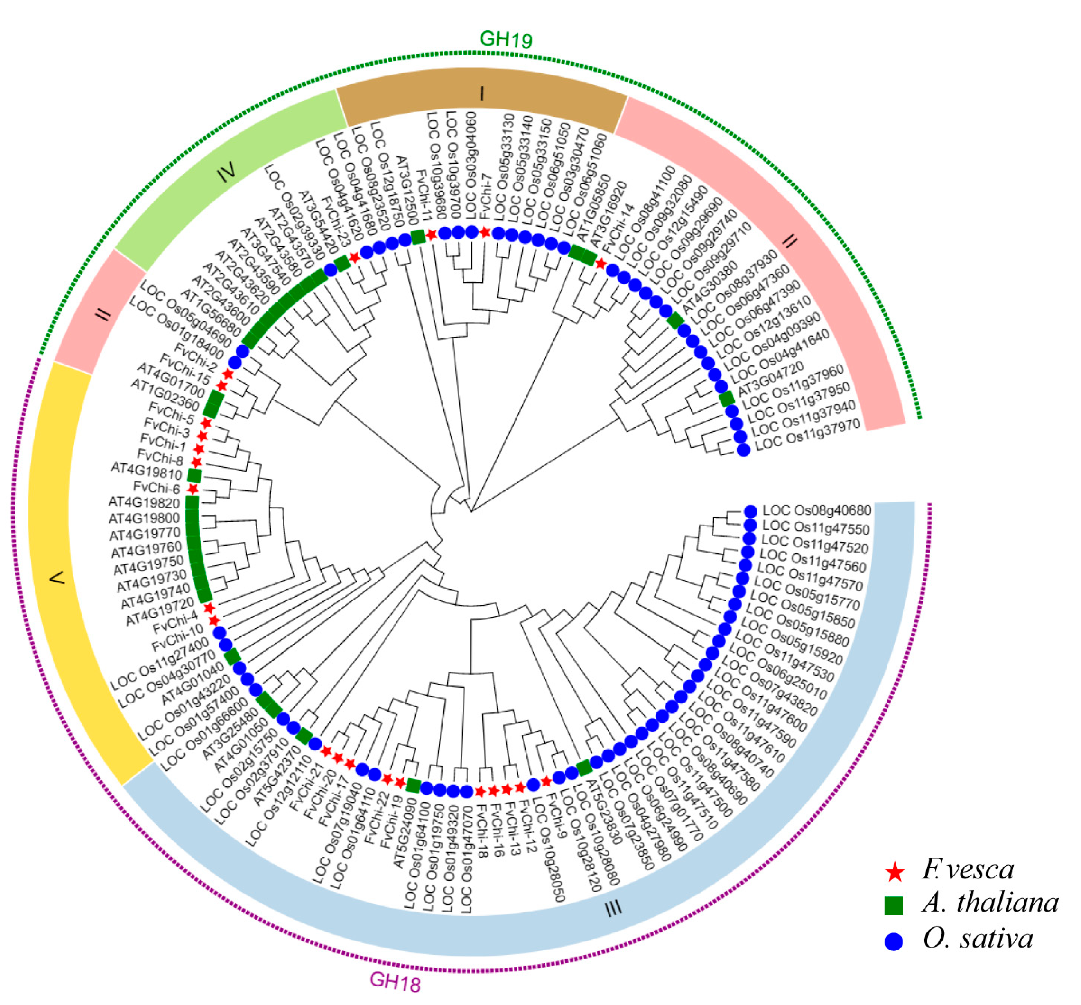 Plants 12 01543 g002
