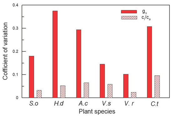Addressing the Relationship between Leaf Nitrogen and Carbon