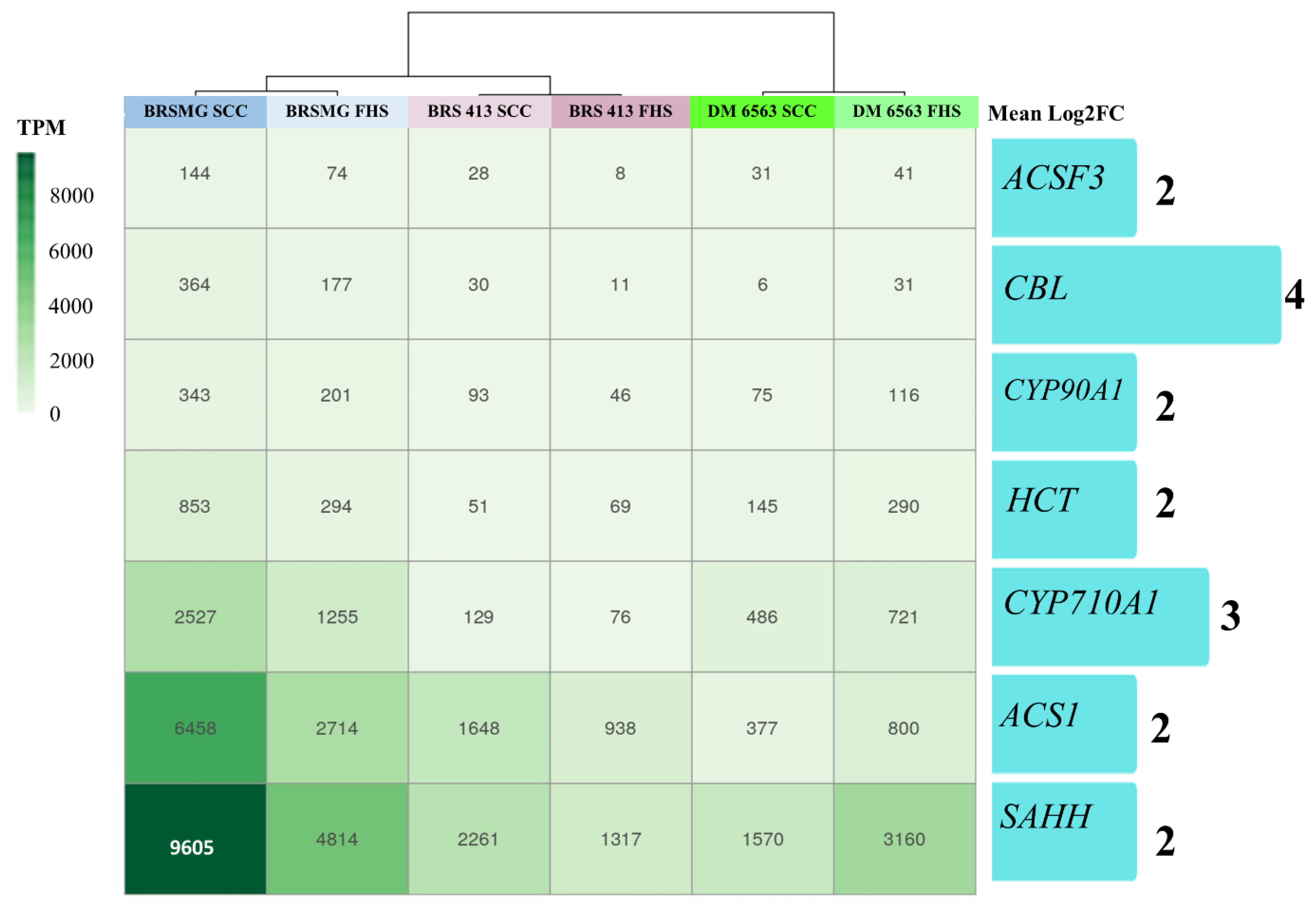 Plants 12 01555 g004