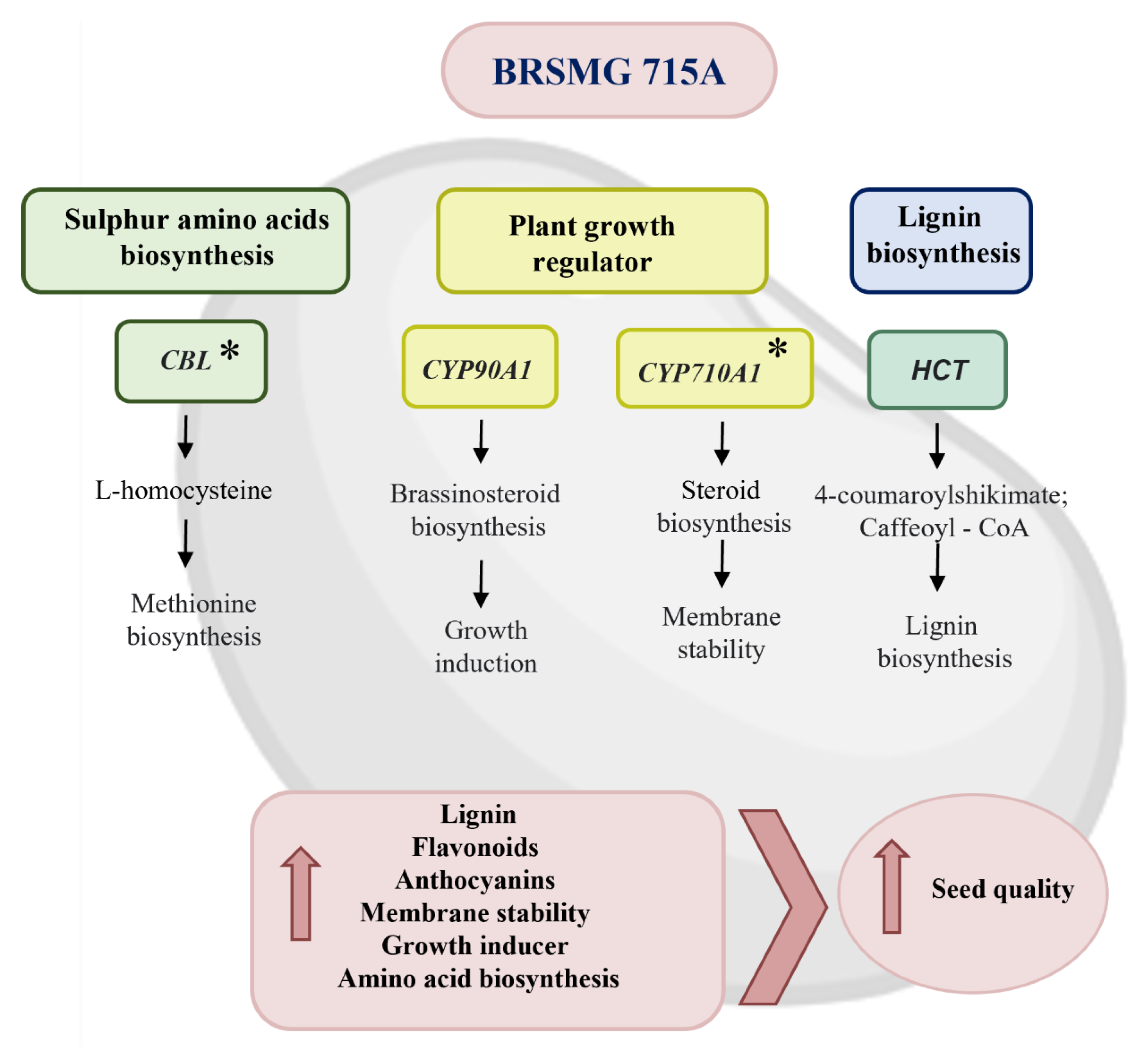 Plants 12 01555 g006