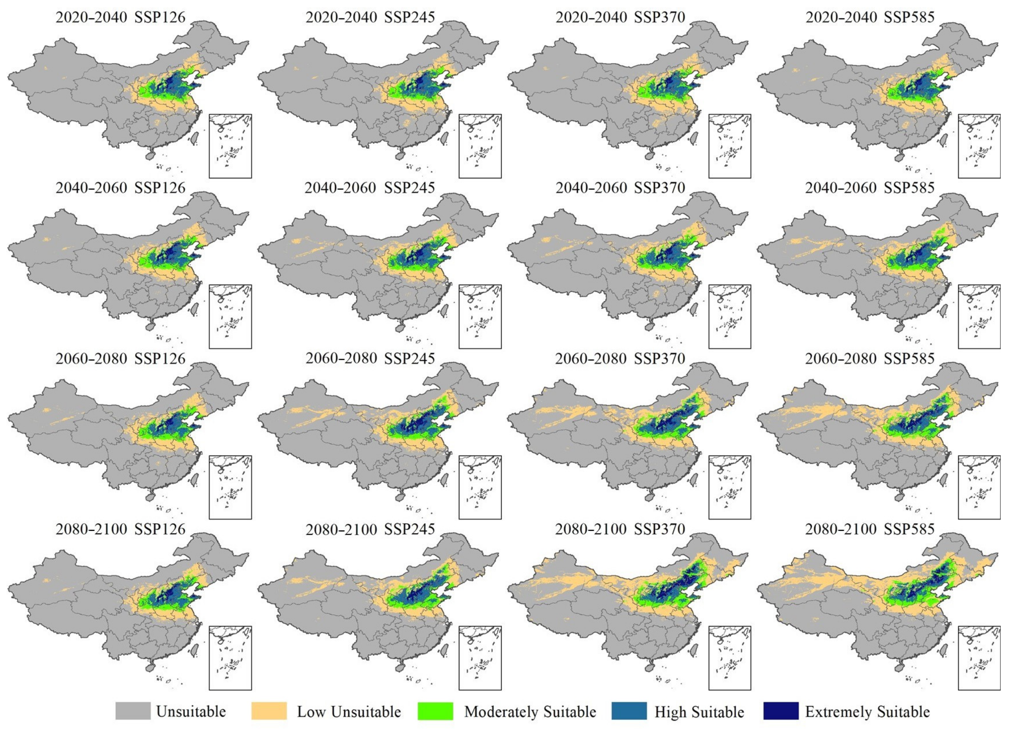 Plants 12 01559 g005 Plants 12 01559 g005