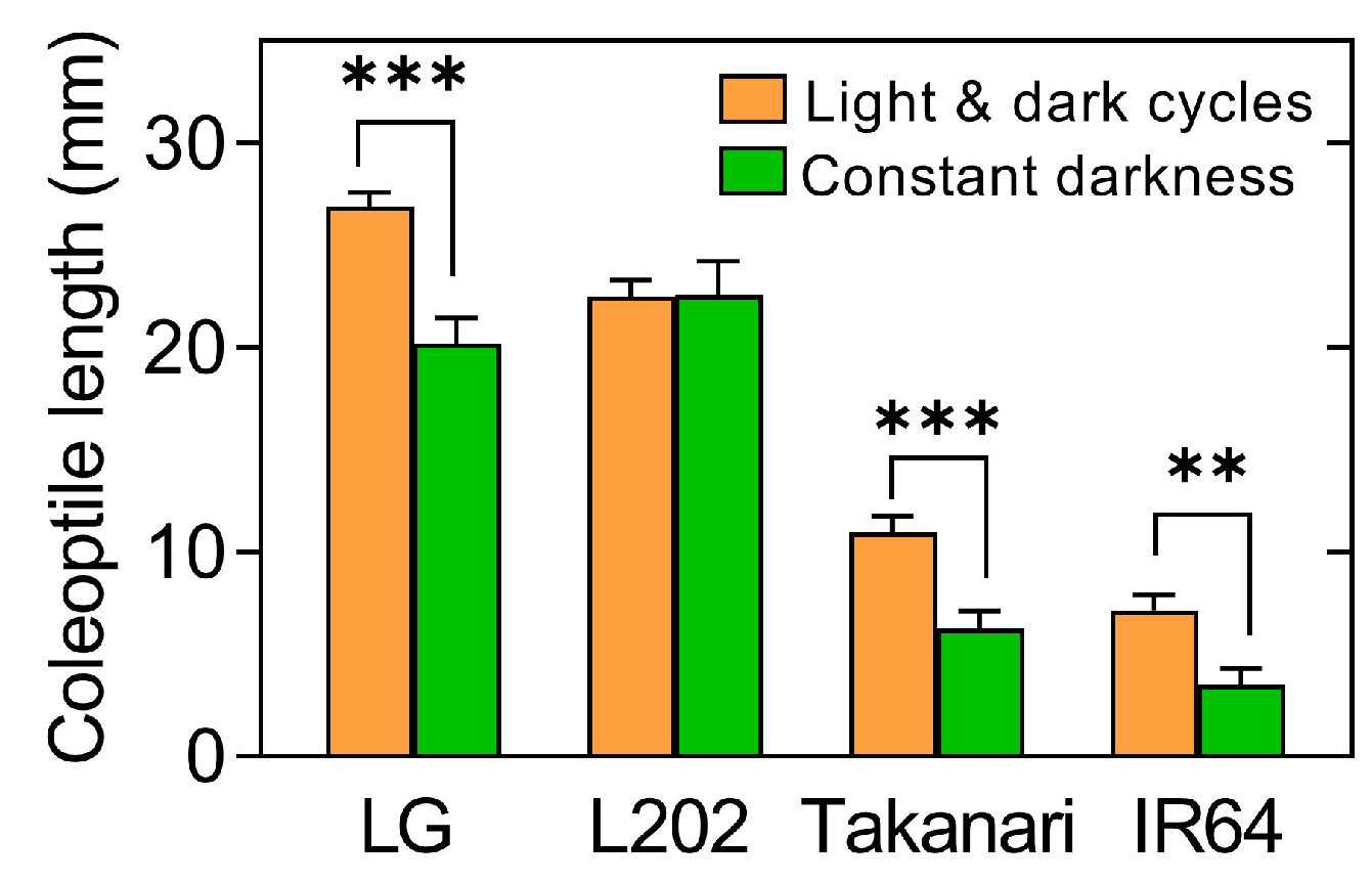 Plants 12 01565 g002 Plants 12 01565 g002