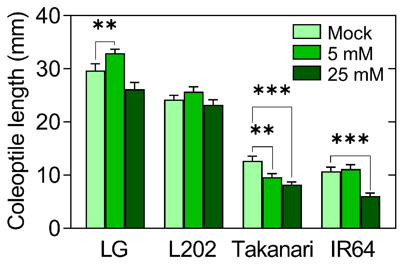 Plants 12 01565 g005 Plants 12 01565 g005
