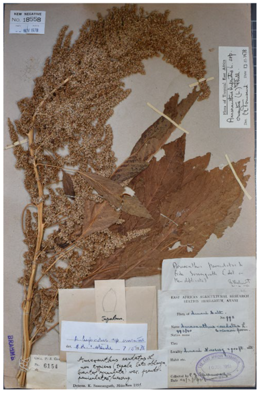 Plants 12 01566 g002