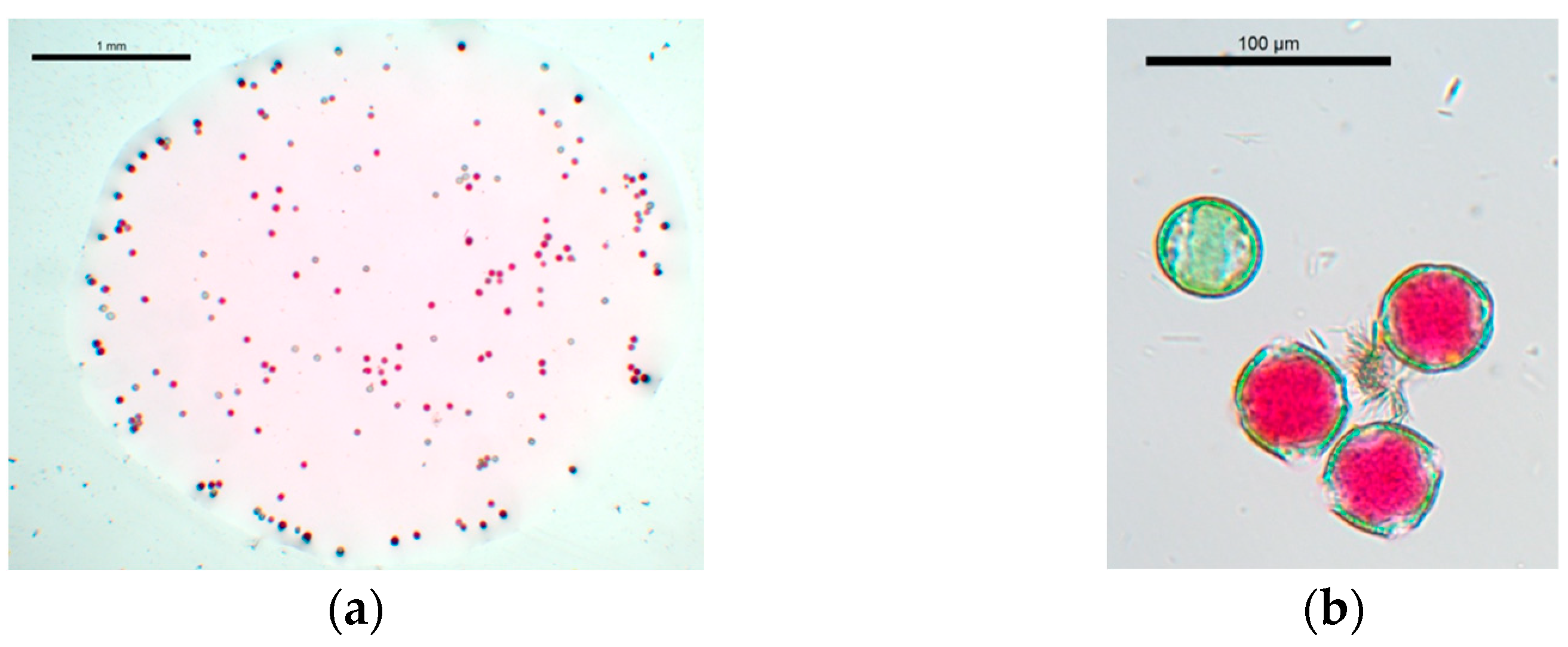 Plants 12 01567 g005 Plants 12 01567 g005