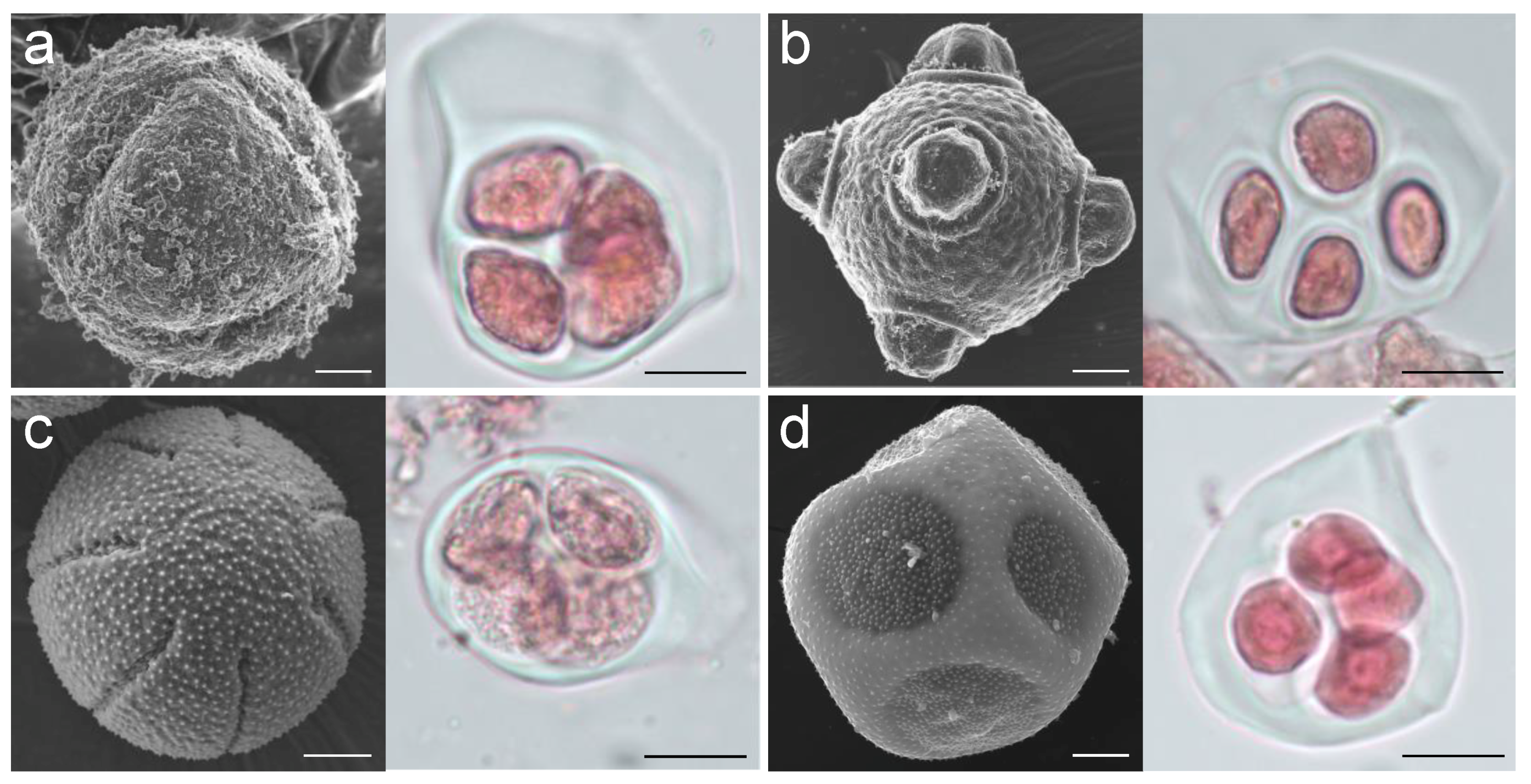 Plants 12 01570 g001 Plants 12 01570 g001