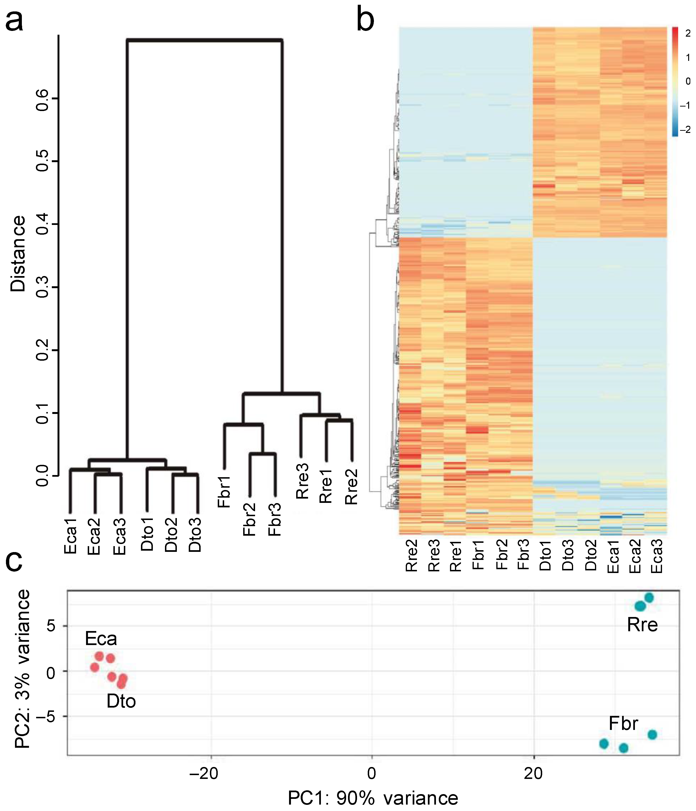 Plants 12 01570 g004 Plants 12 01570 g004