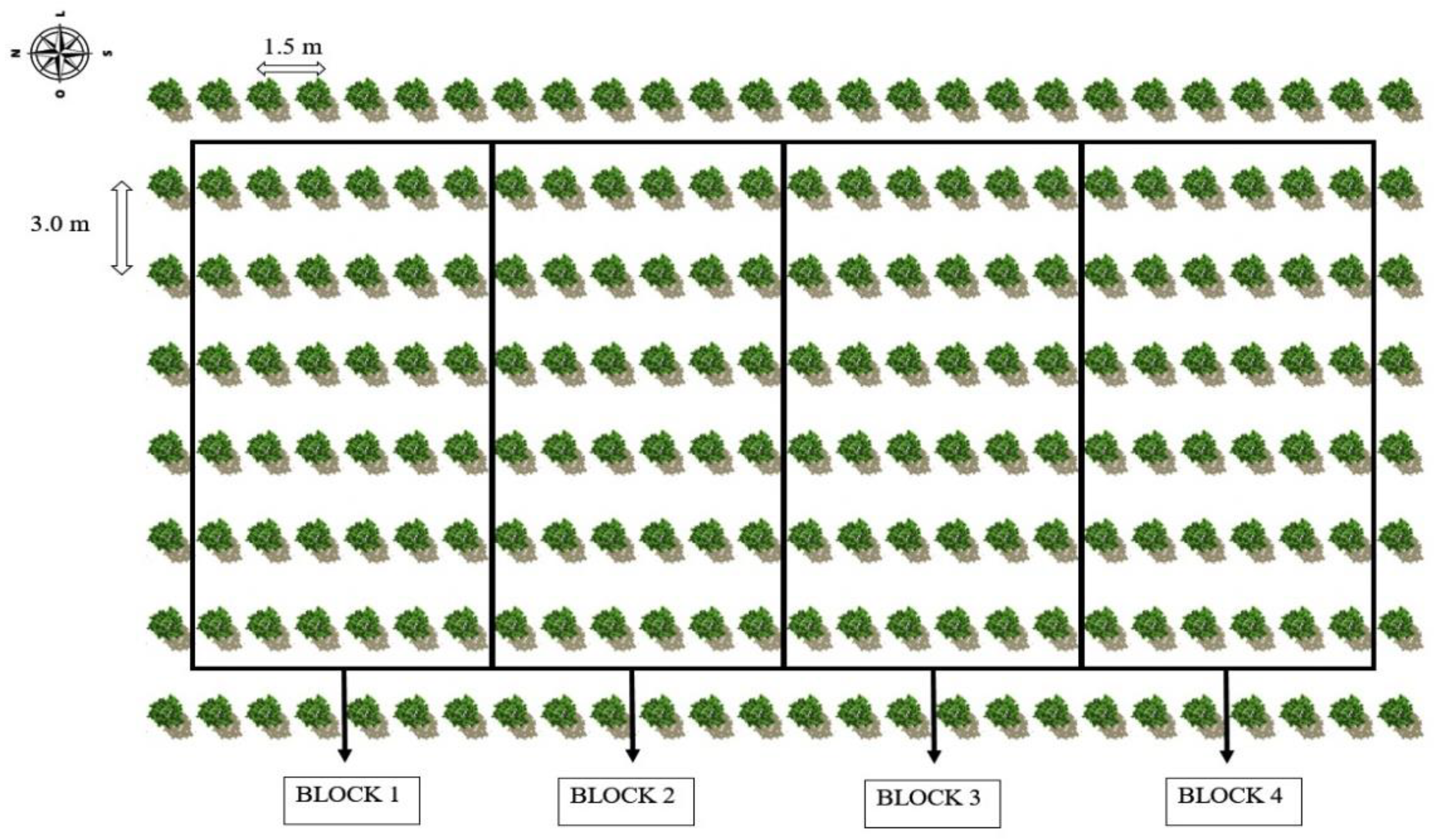 Plants 12 01573 g007