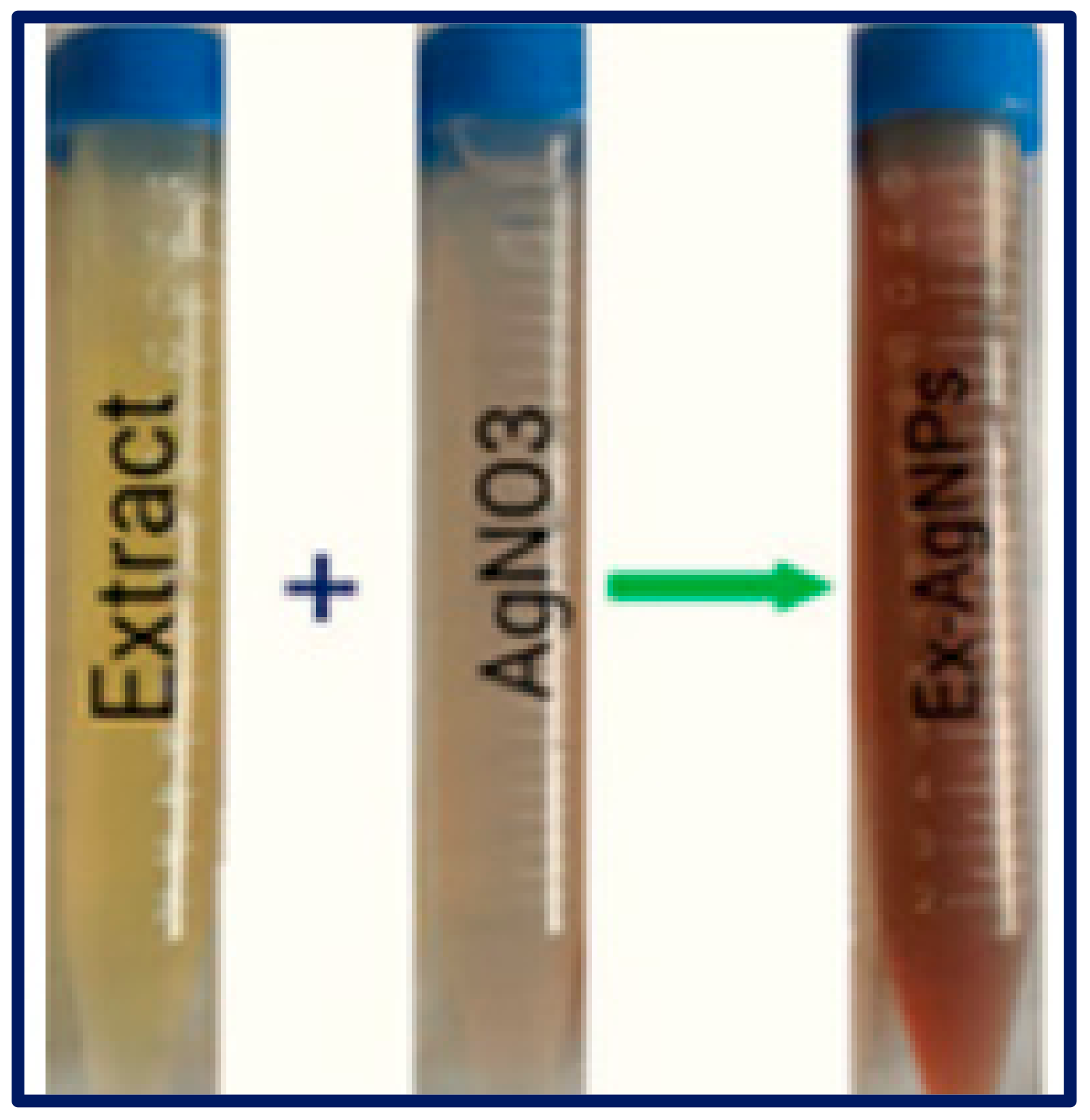 Plants 12 01578 g001 Plants 12 01578 g001