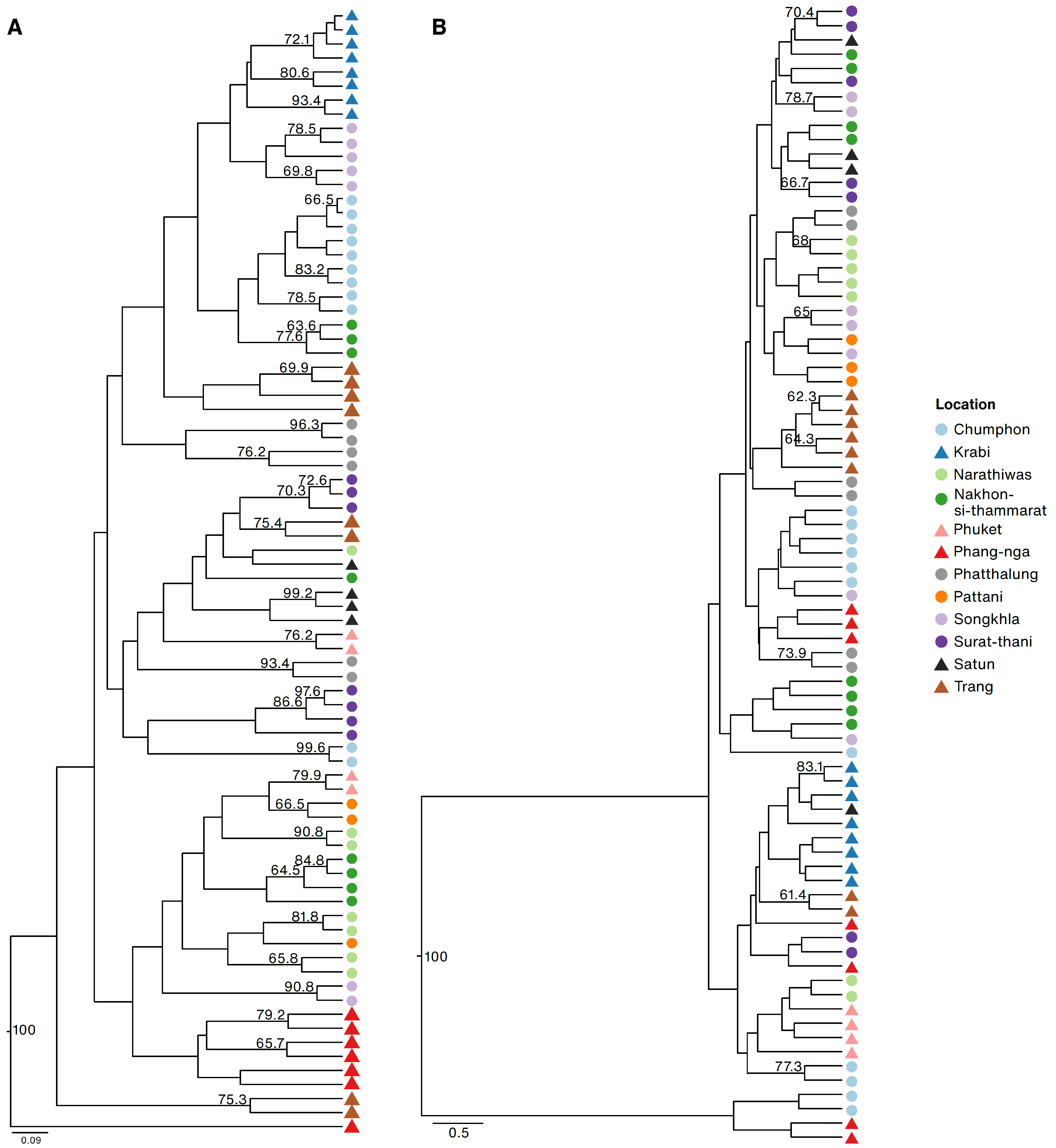 Plants 12 01582 g005 Plants 12 01582 g005