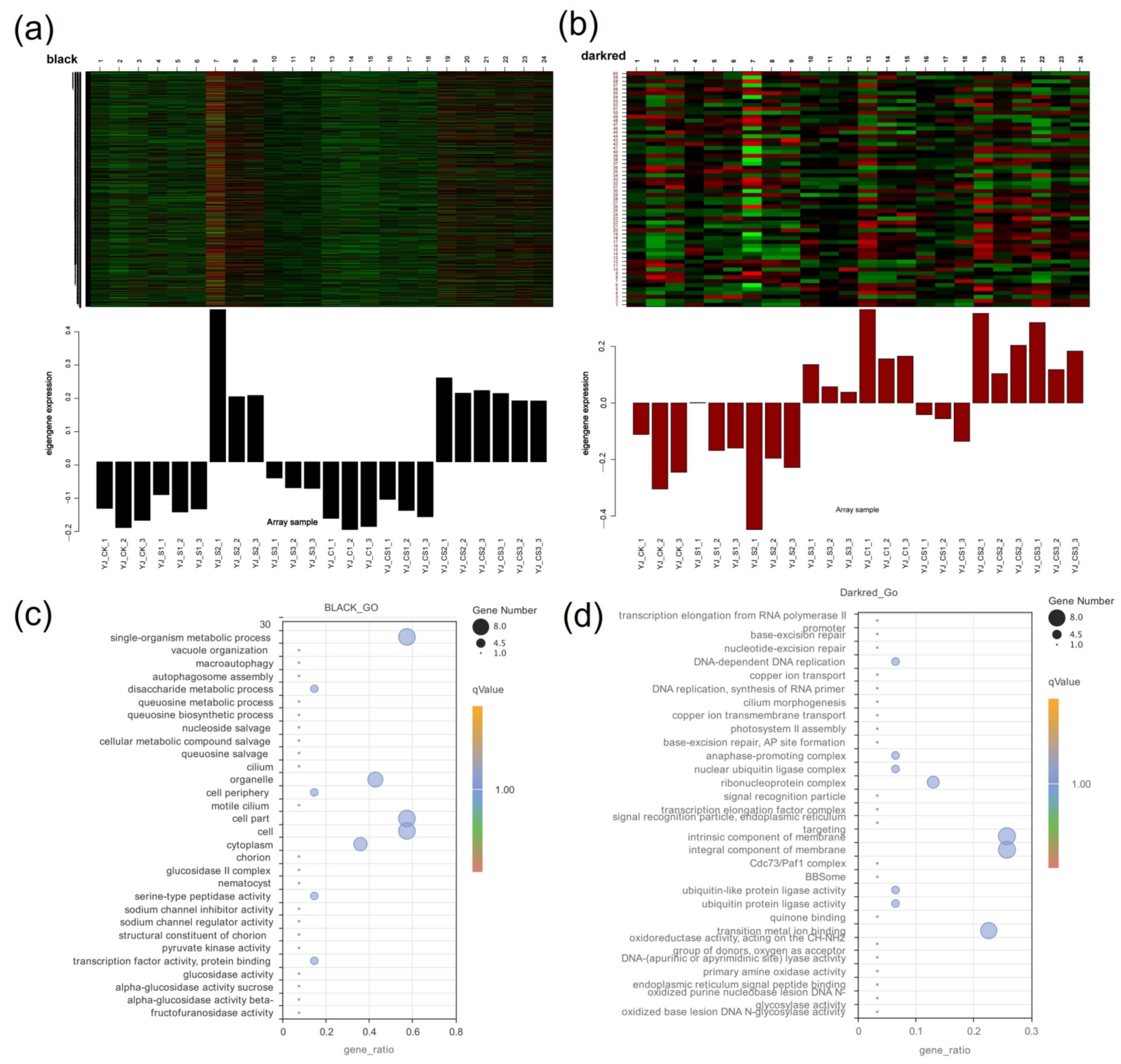 Plants 12 01583 g011