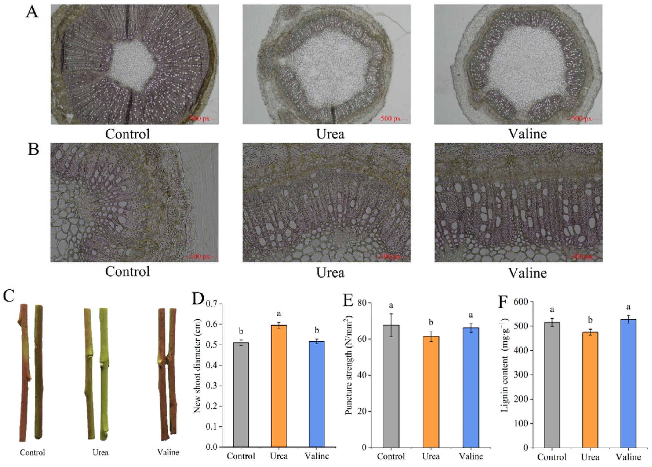 Plants 12 01596 g002