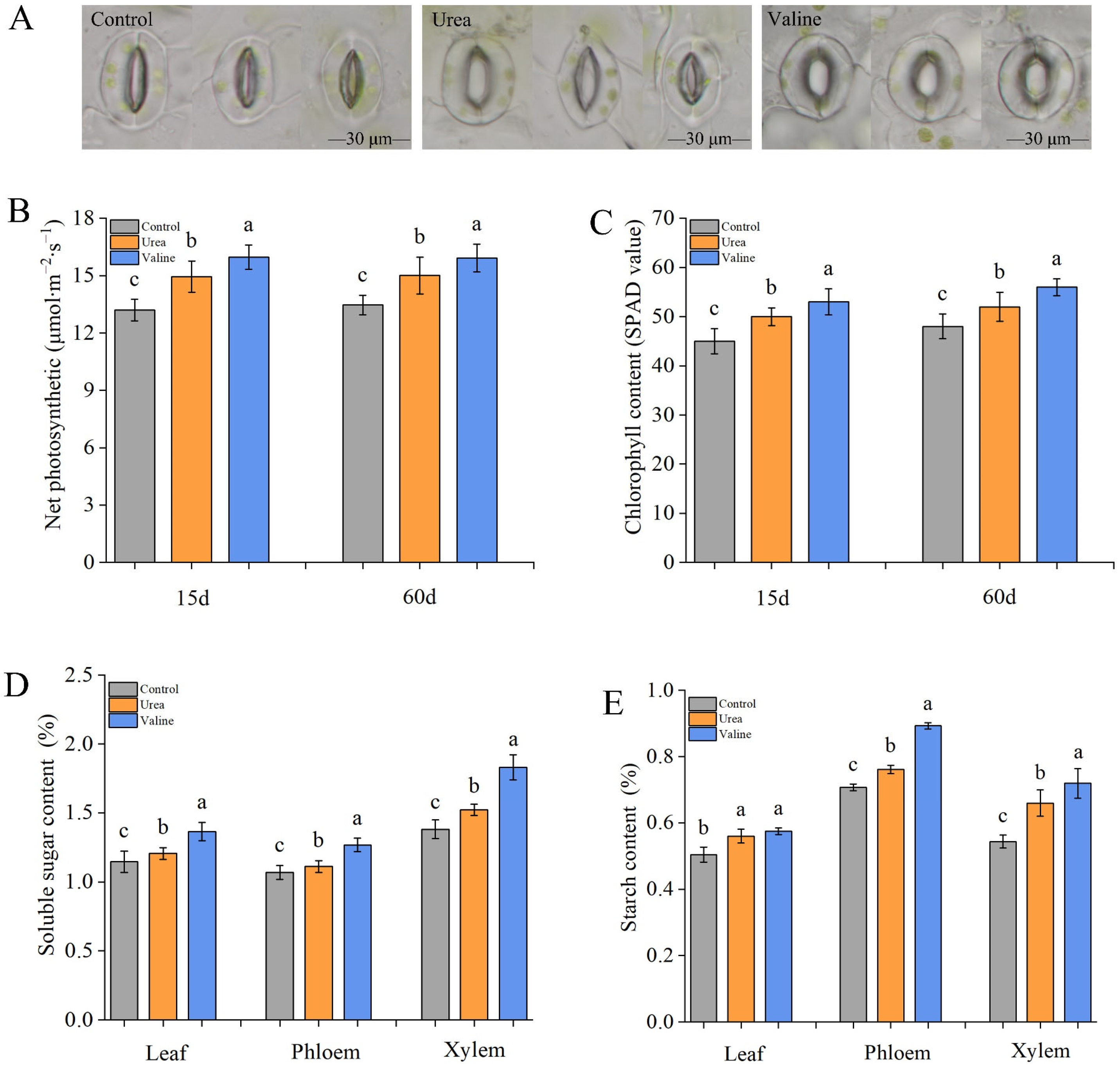 Plants 12 01596 g004