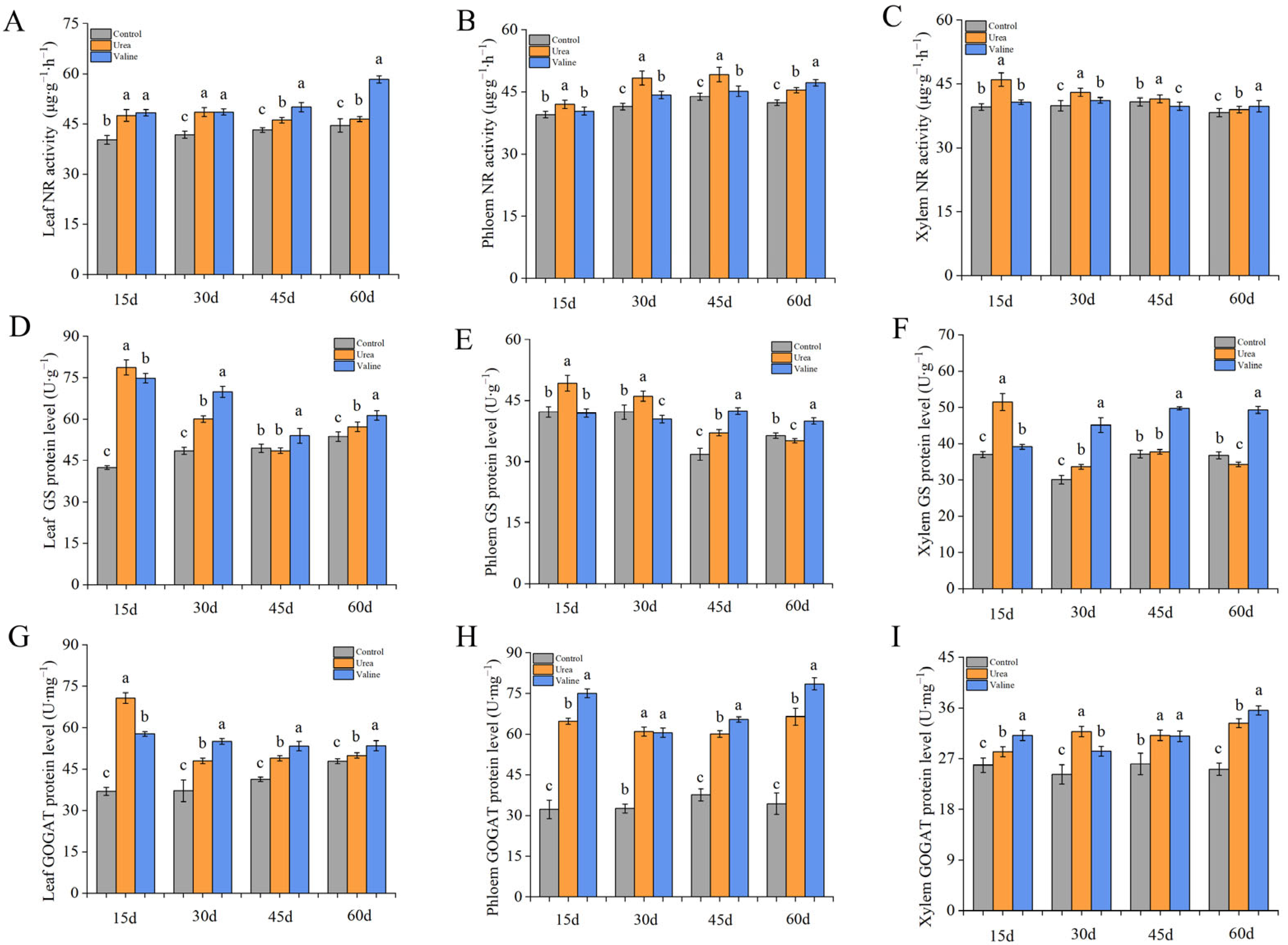 Plants 12 01596 g005