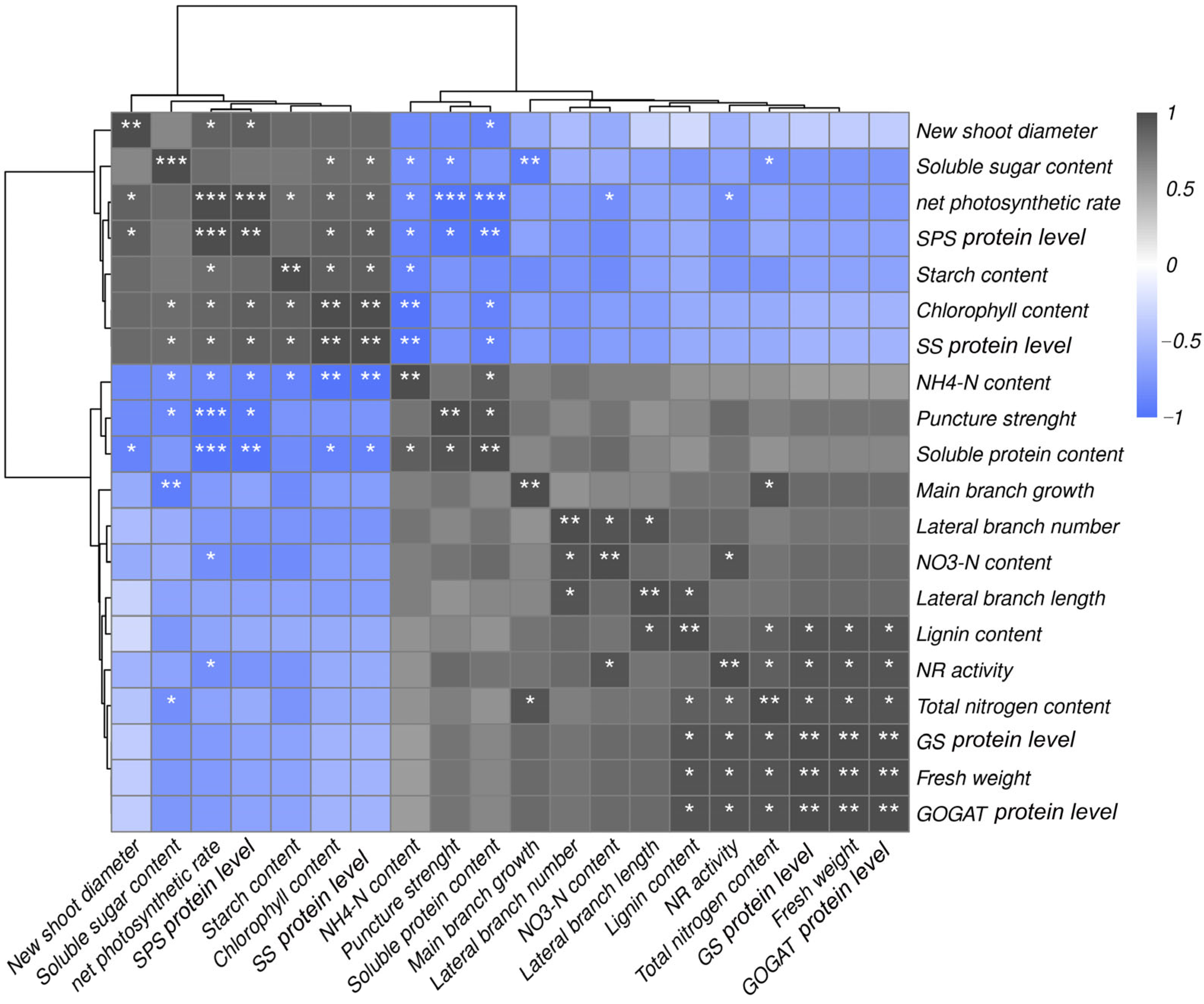 Plants 12 01596 g007