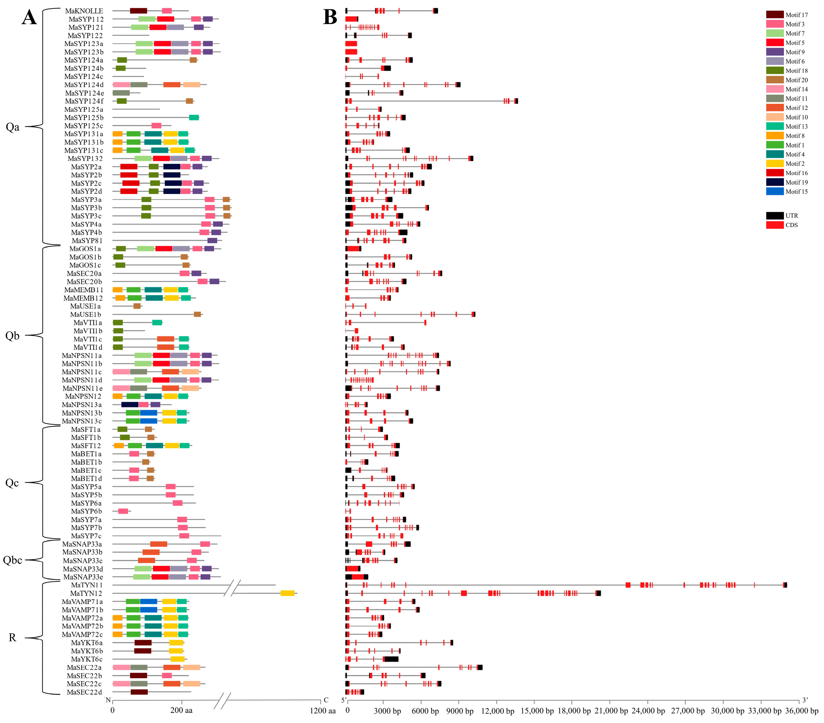 Plants 12 01599 g002 Plants 12 01599 g002