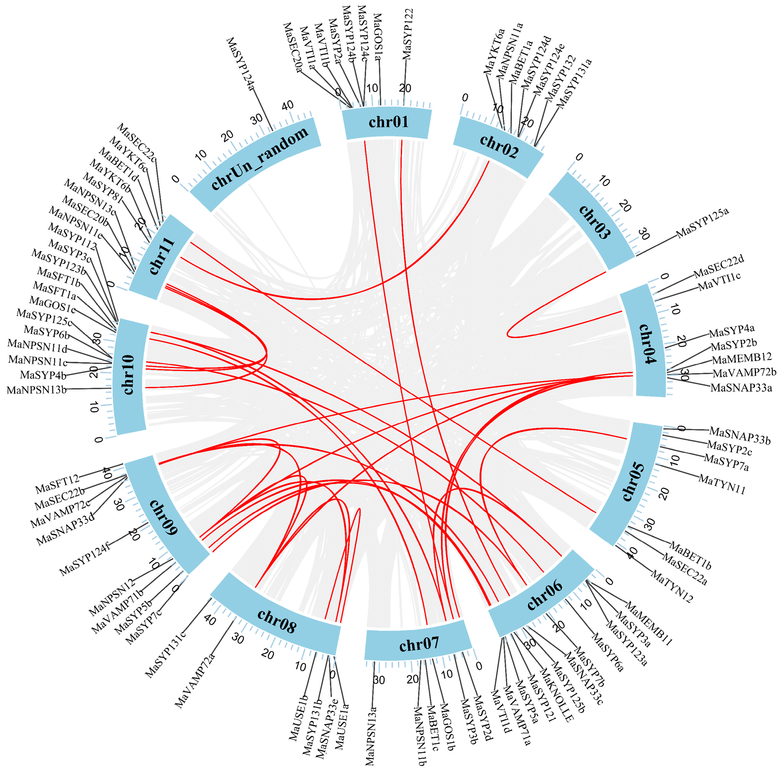 Plants 12 01599 g004 Plants 12 01599 g004