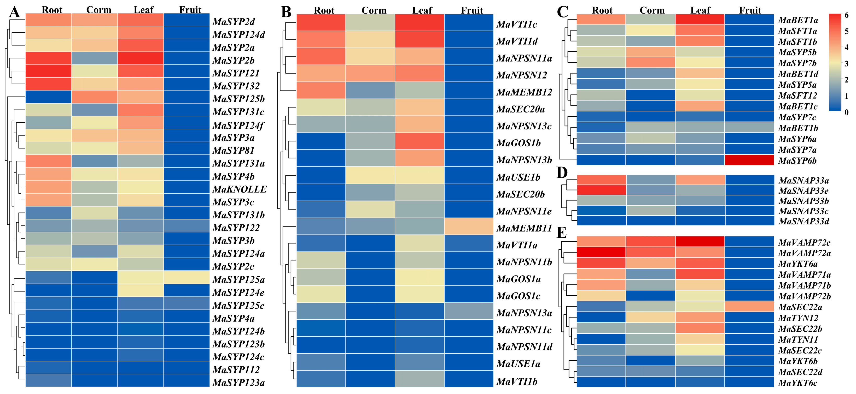 Plants 12 01599 g005 Plants 12 01599 g005