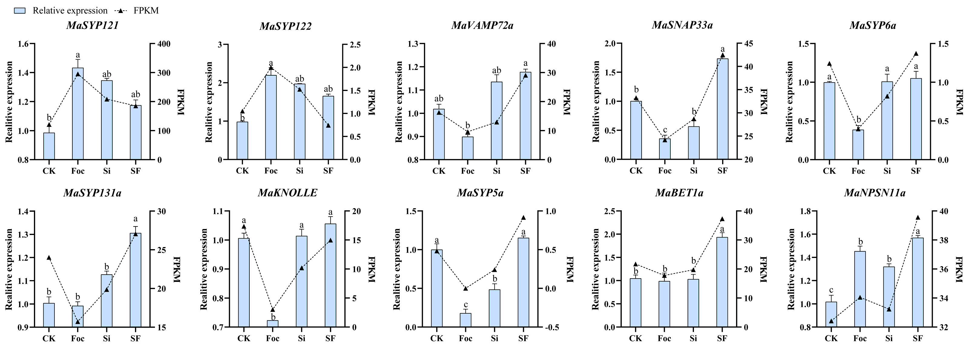 Plants 12 01599 g008 Plants 12 01599 g008